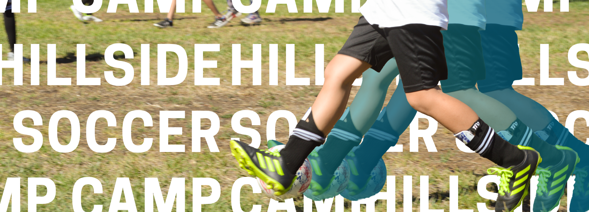 SC  Banner No Text.png