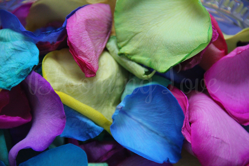 IMG_5175-watermark.jpg