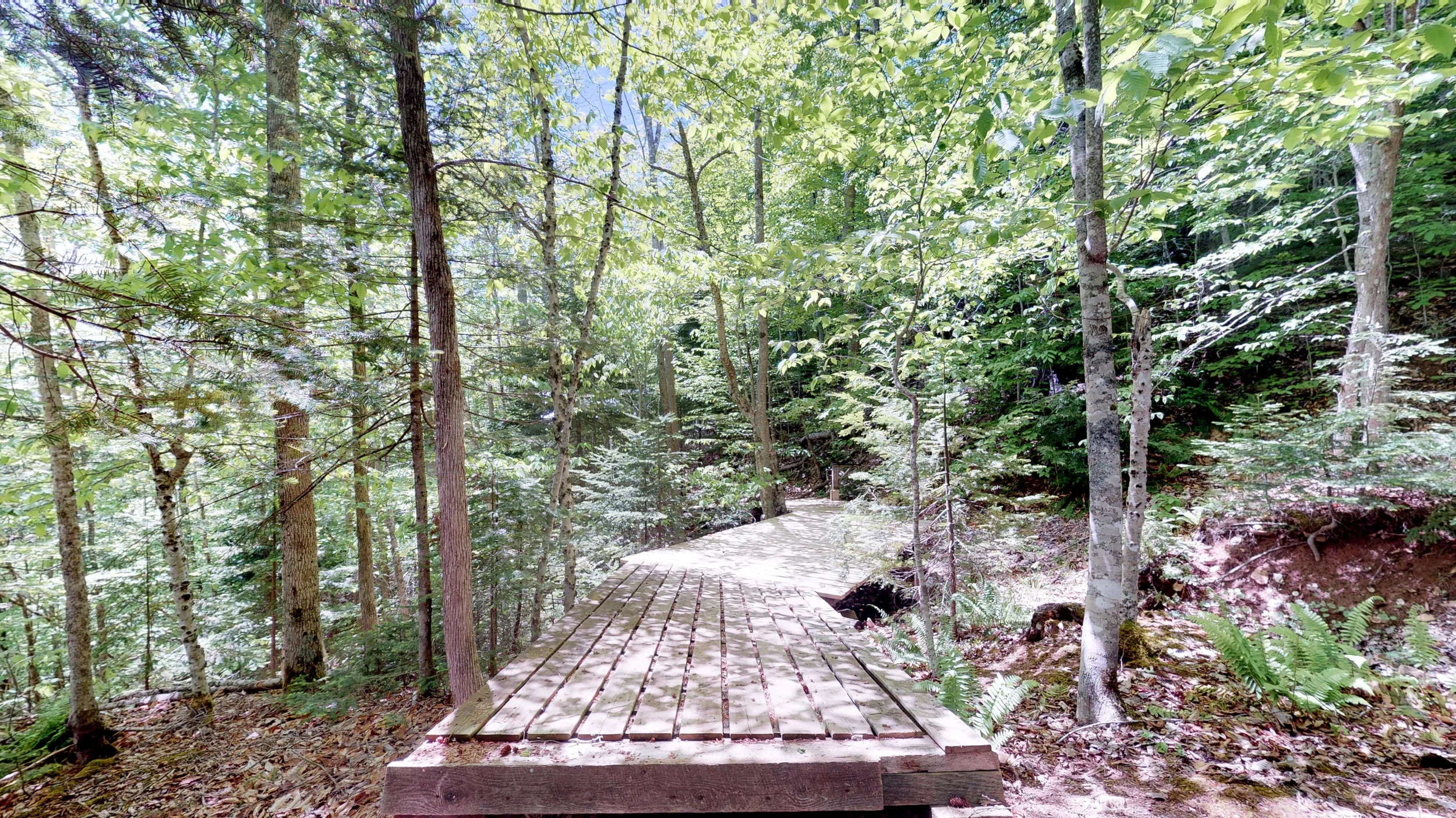 Trails End Cottage(8).jpg
