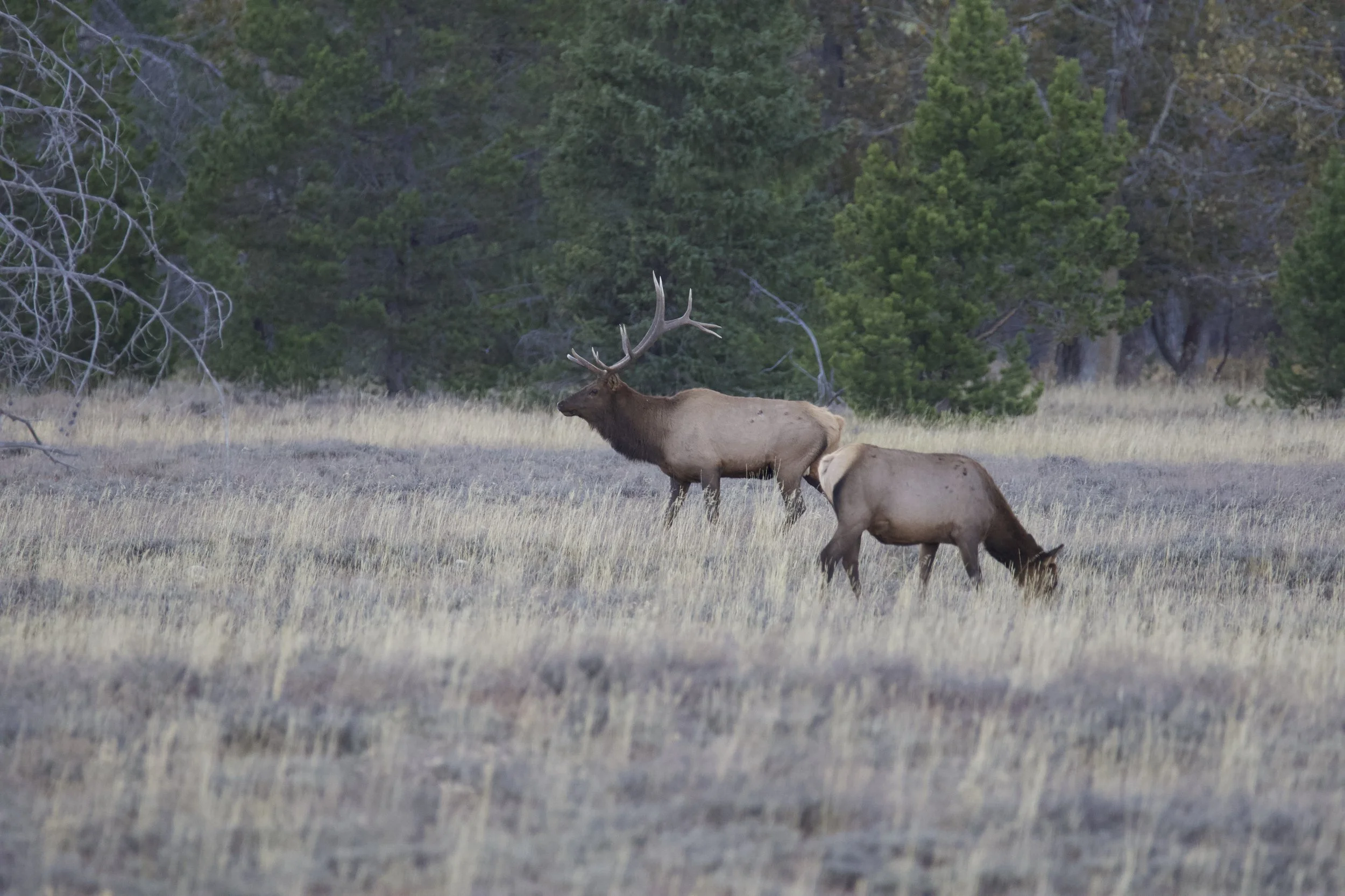 fall 2015 111 copy.jpeg