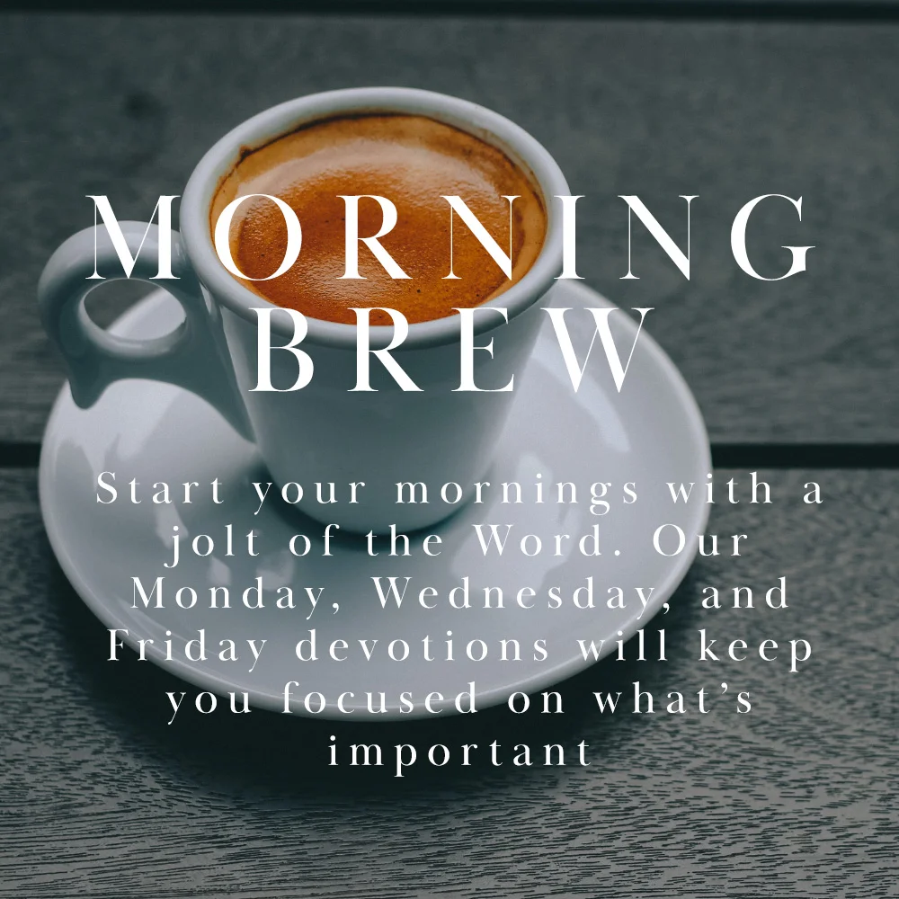morning brew.jpg