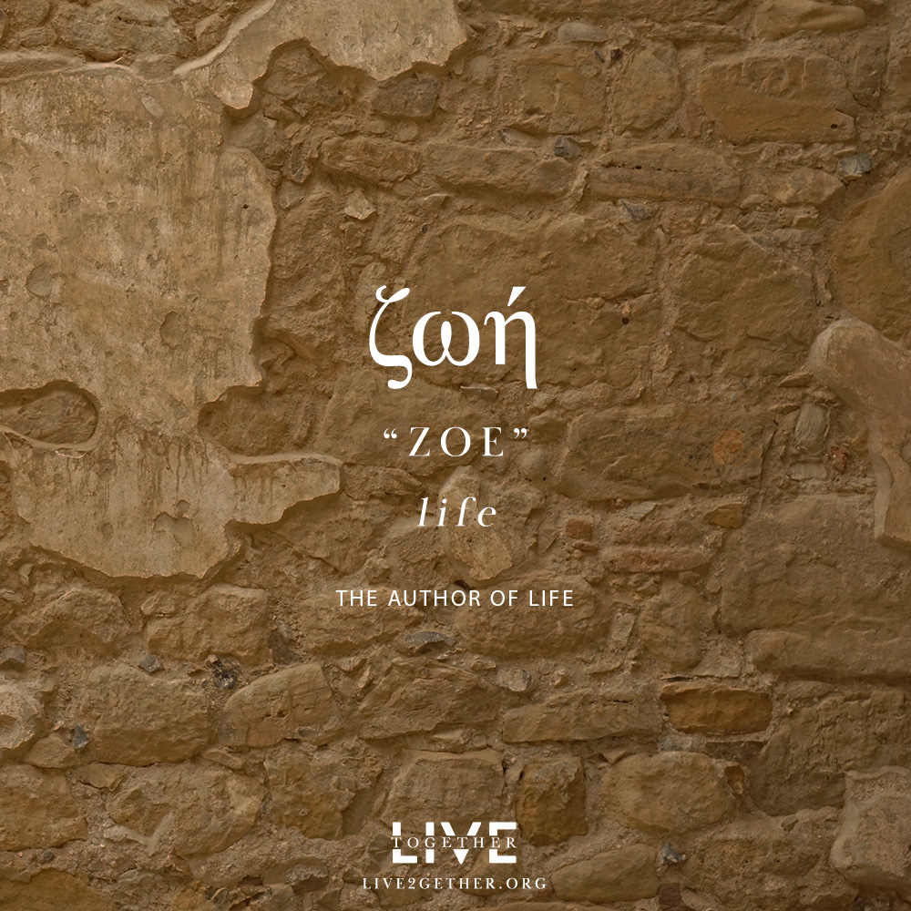 ZOE (Life)