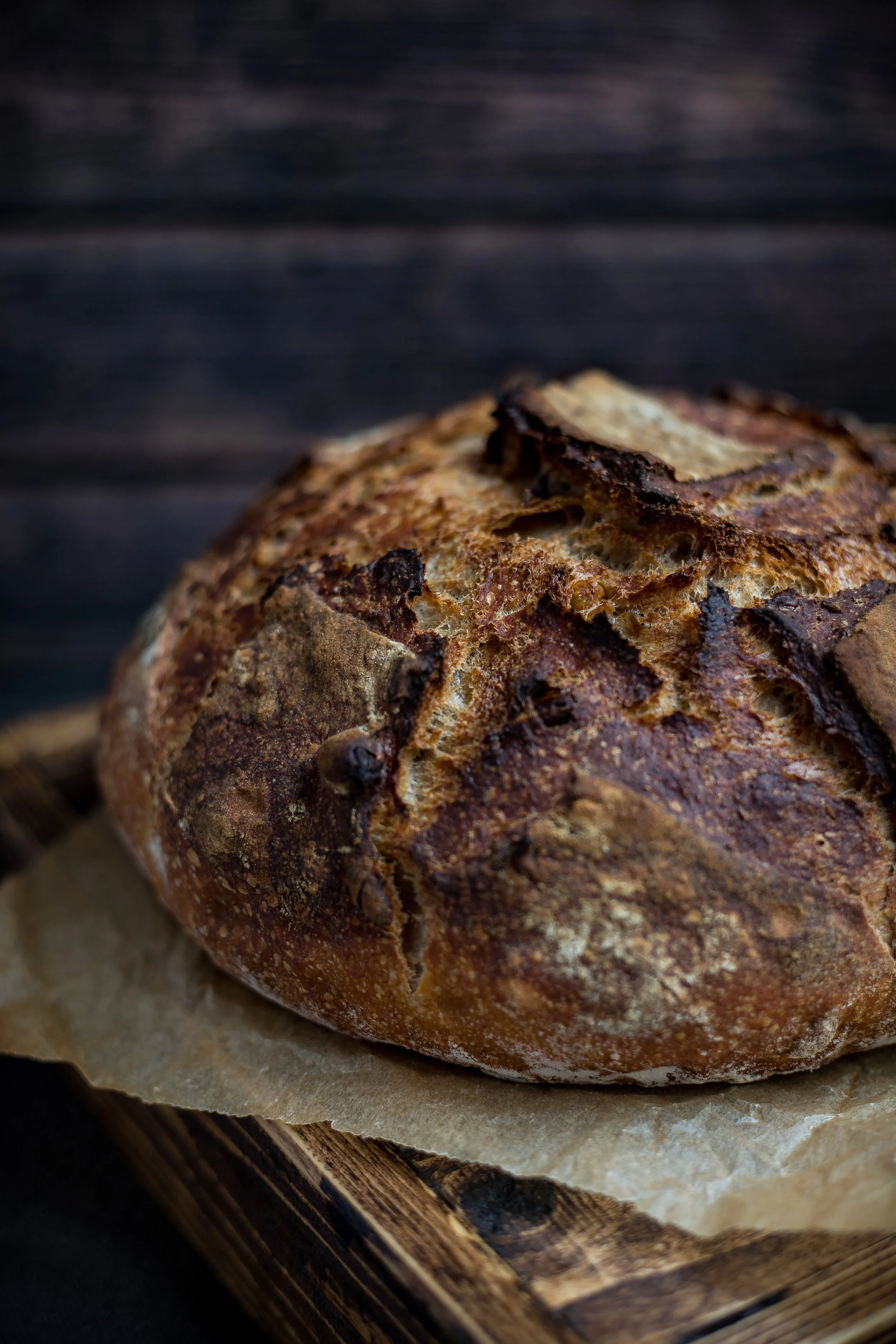 Not by Bread Alone