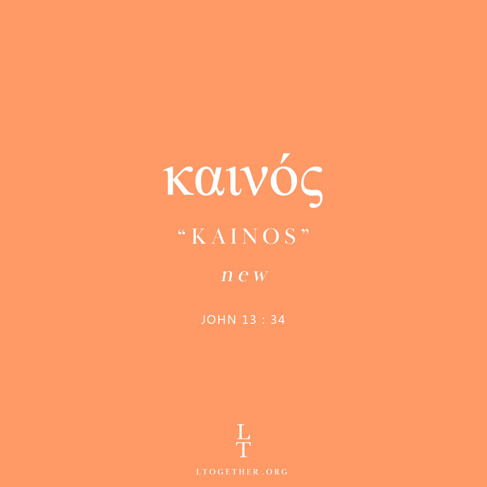 KAINOS (New)