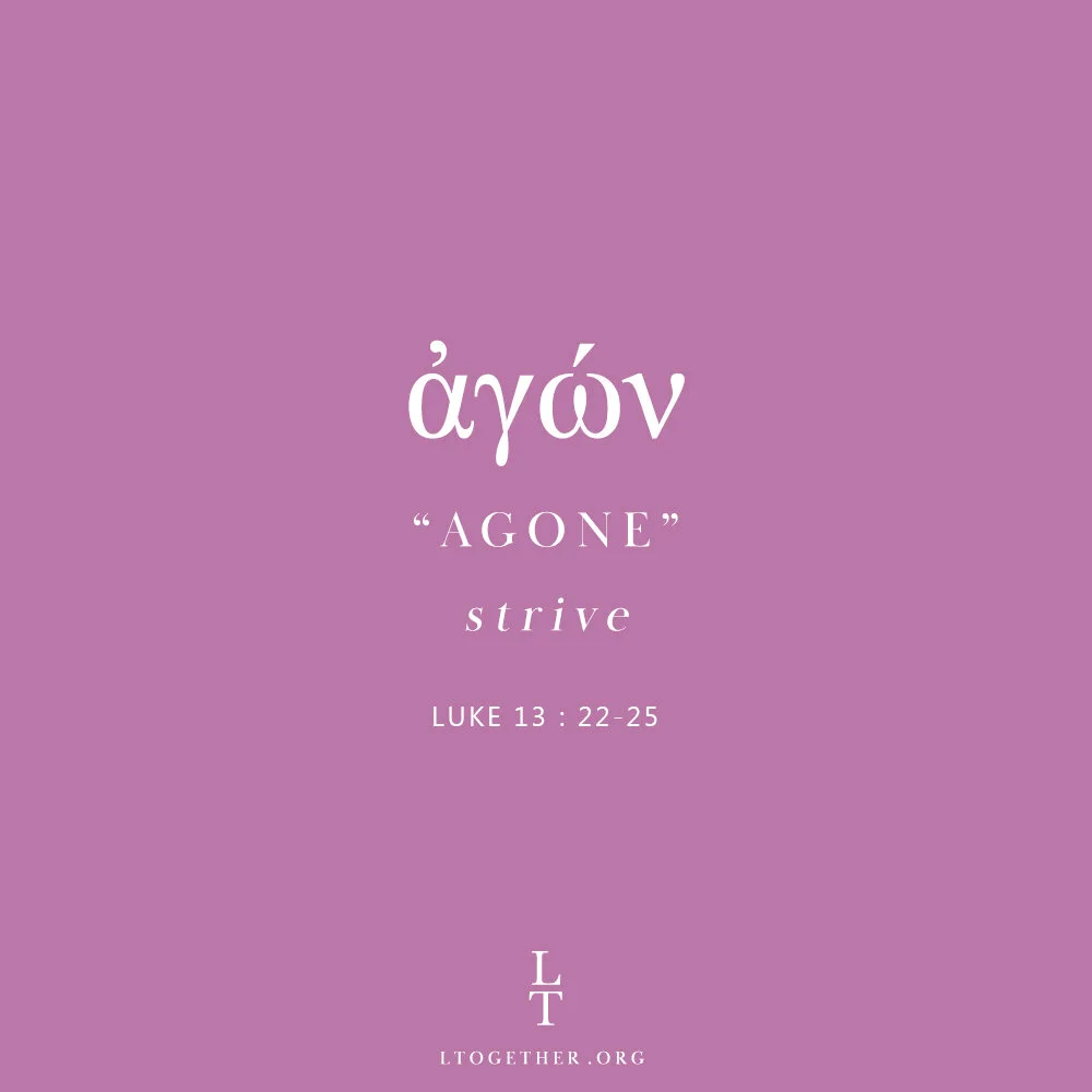 AGONE  (Strive)