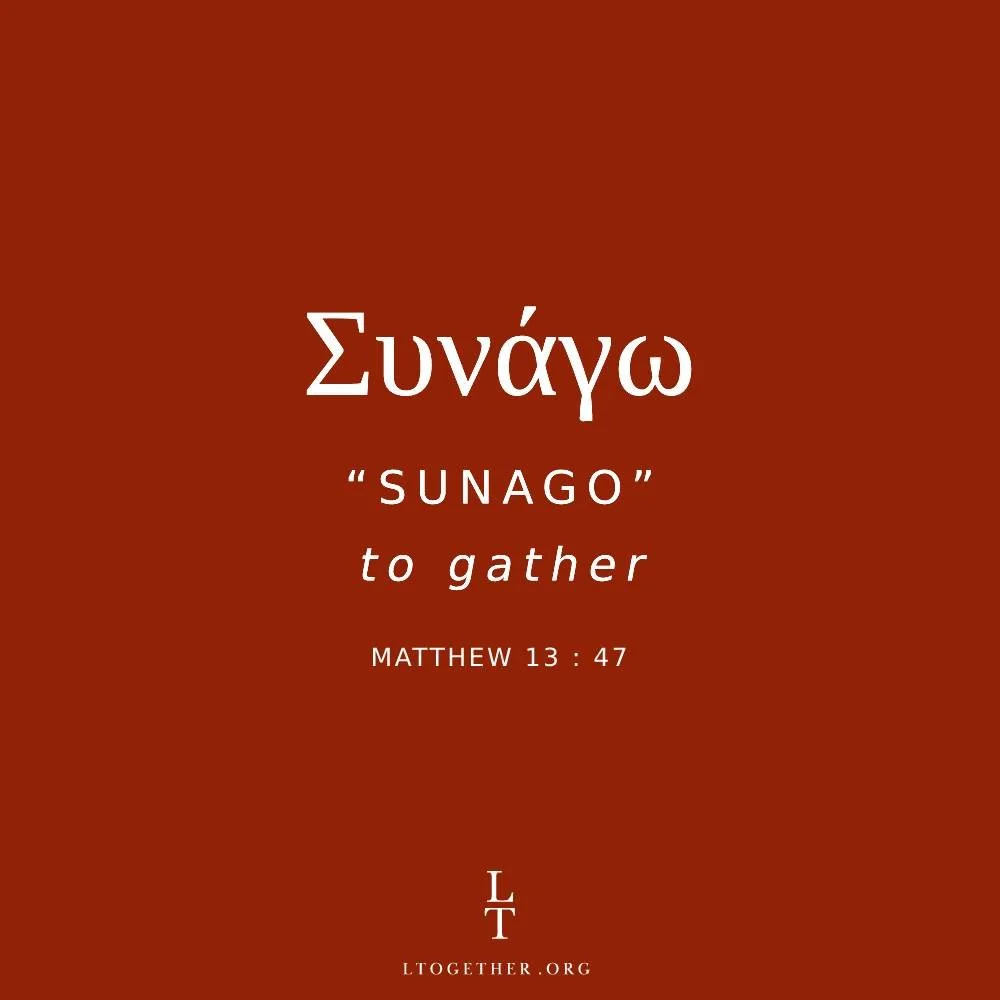 SUNAGO (To Gather)