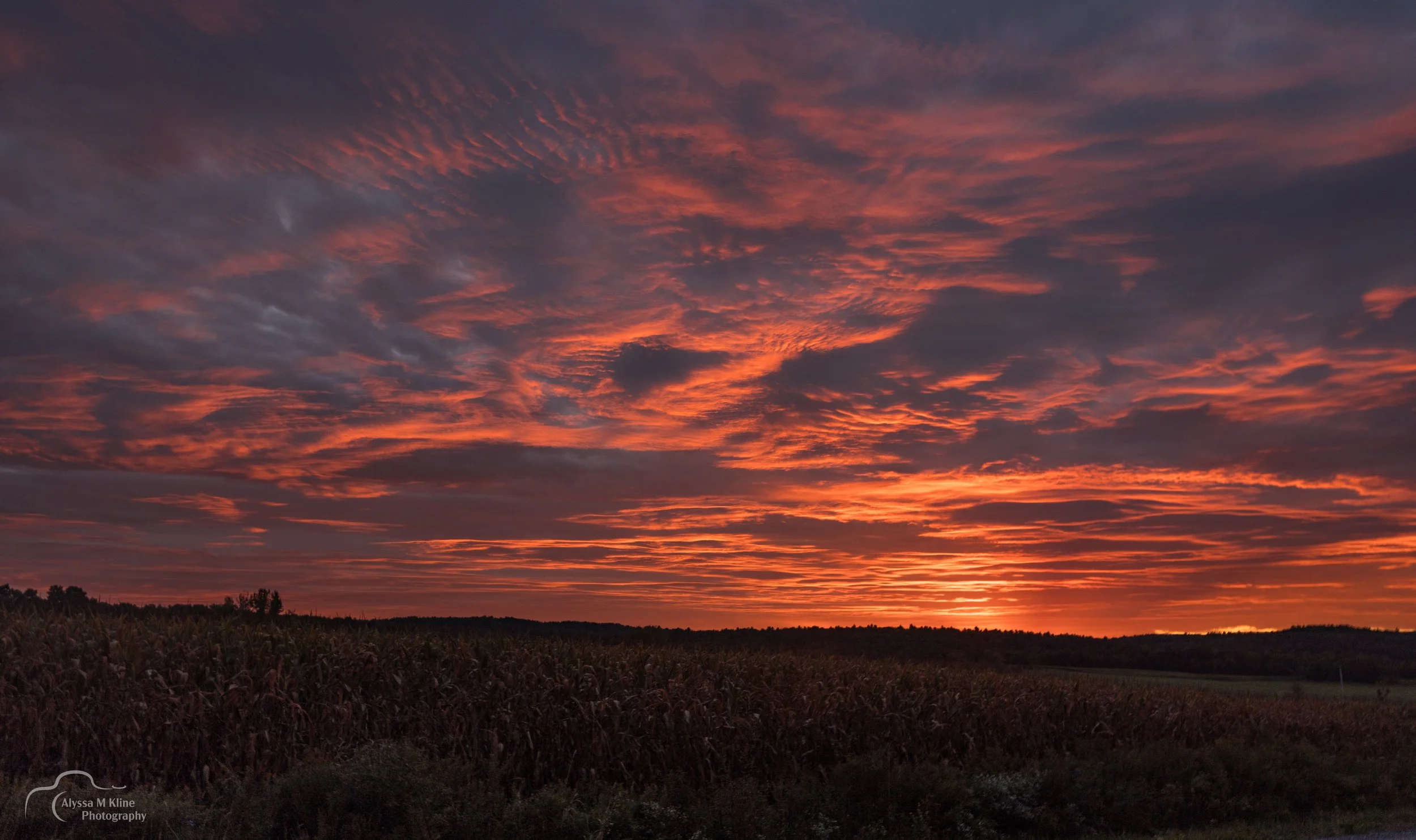 fall sunrise ver 2.JPG