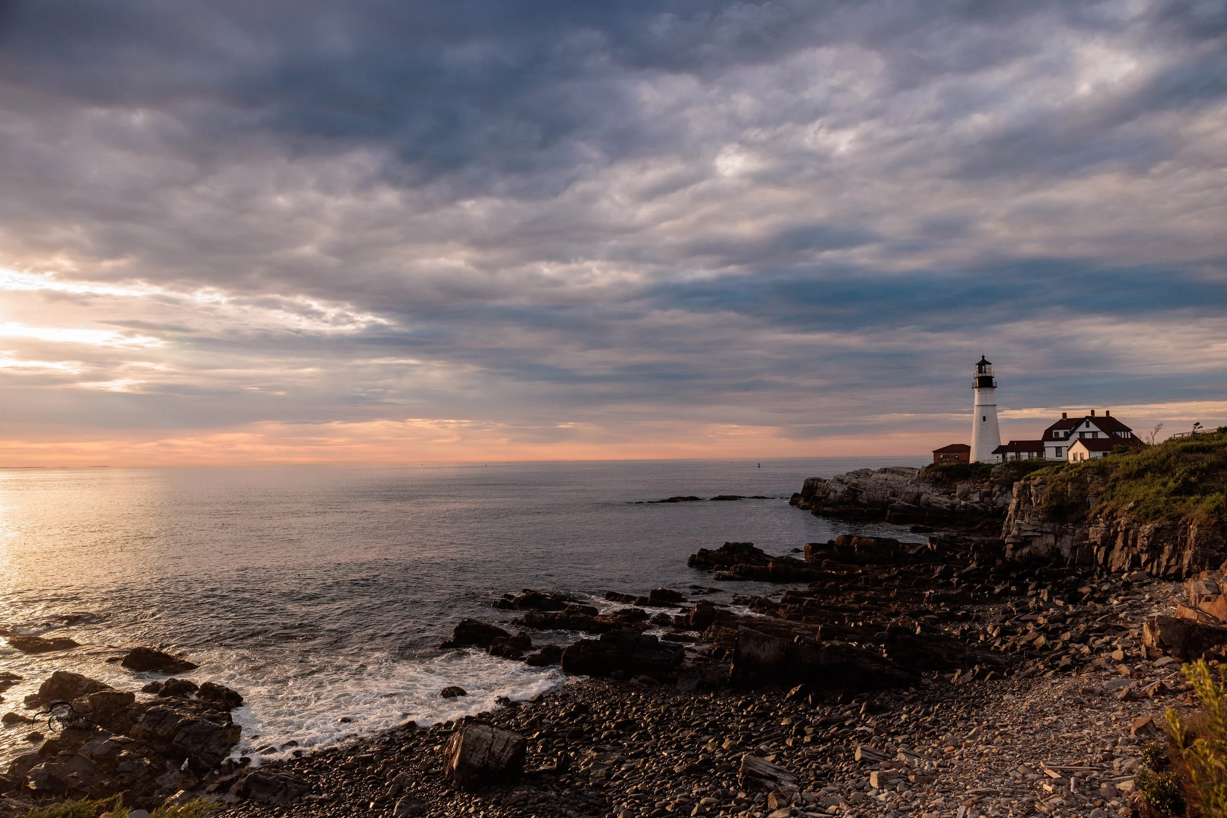 portland light 2026 11_MGL6642.jpg