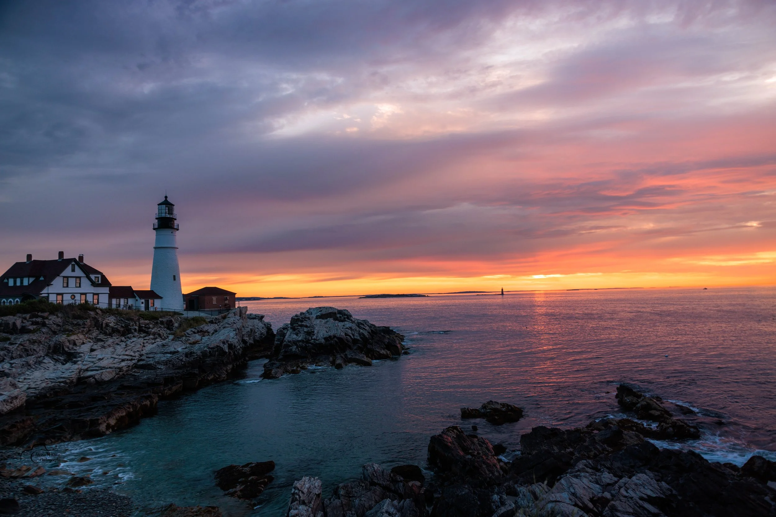 portland light 2026 9_MGL6313.jpg