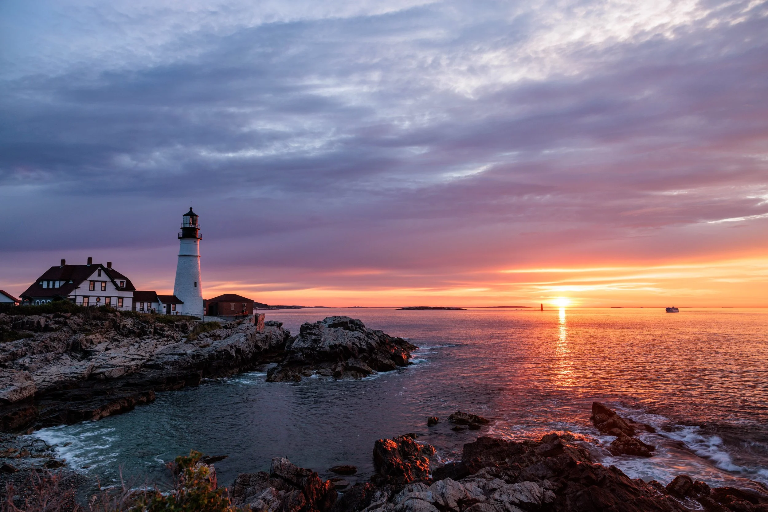 portland light 2026 3_MGL6180.jpg