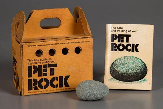 Who Remembers Pet Rocks?  #145