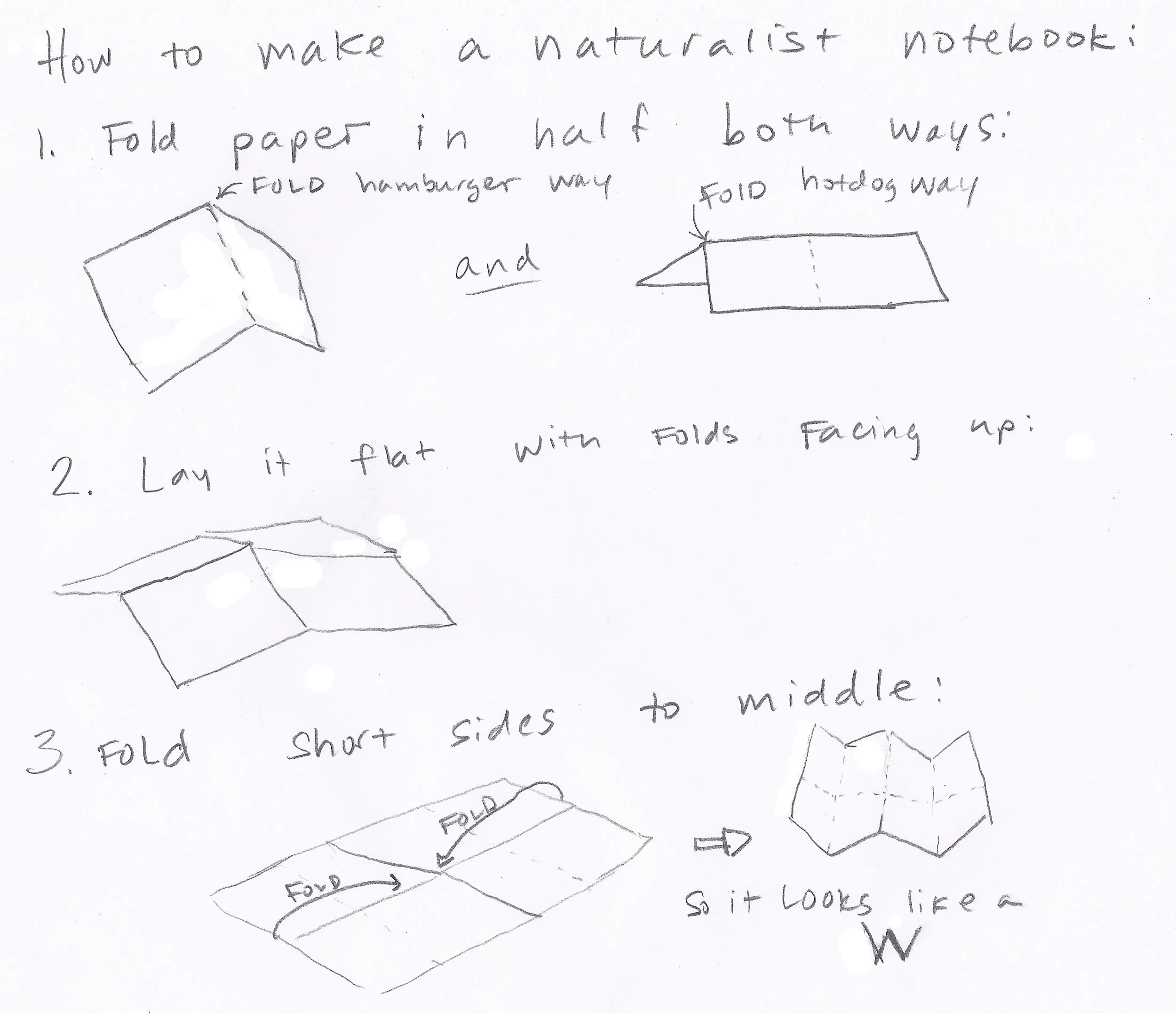 HowToFoldBook.jpg
