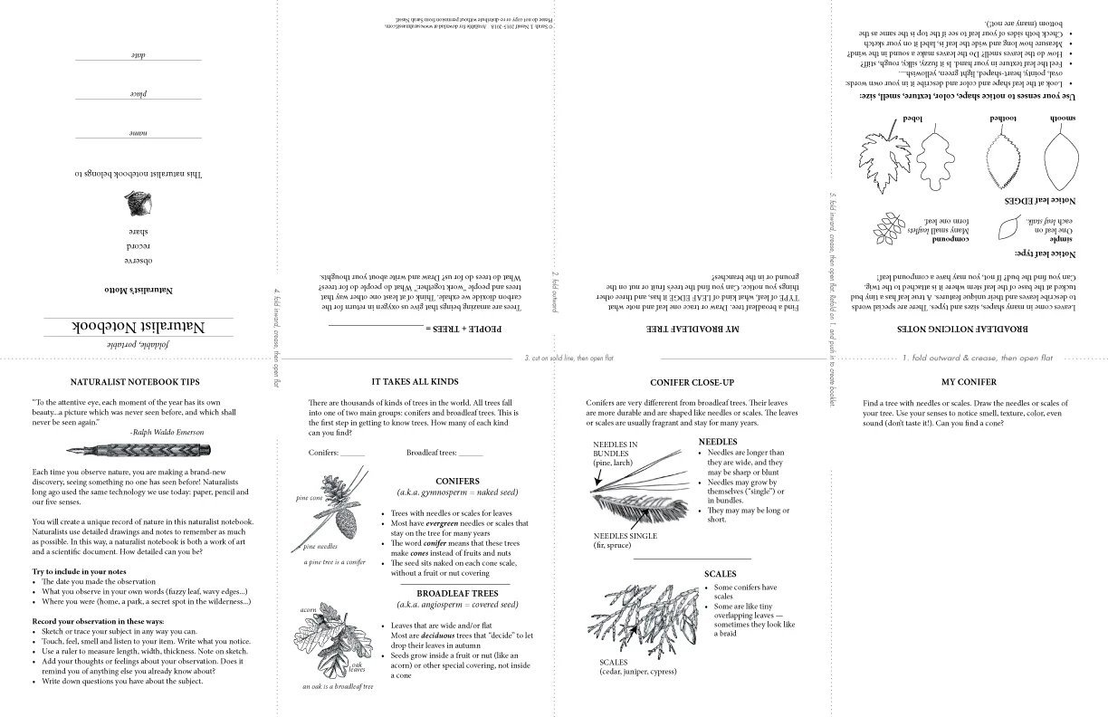 FoldingNaturalistNotebook_1page.jpg