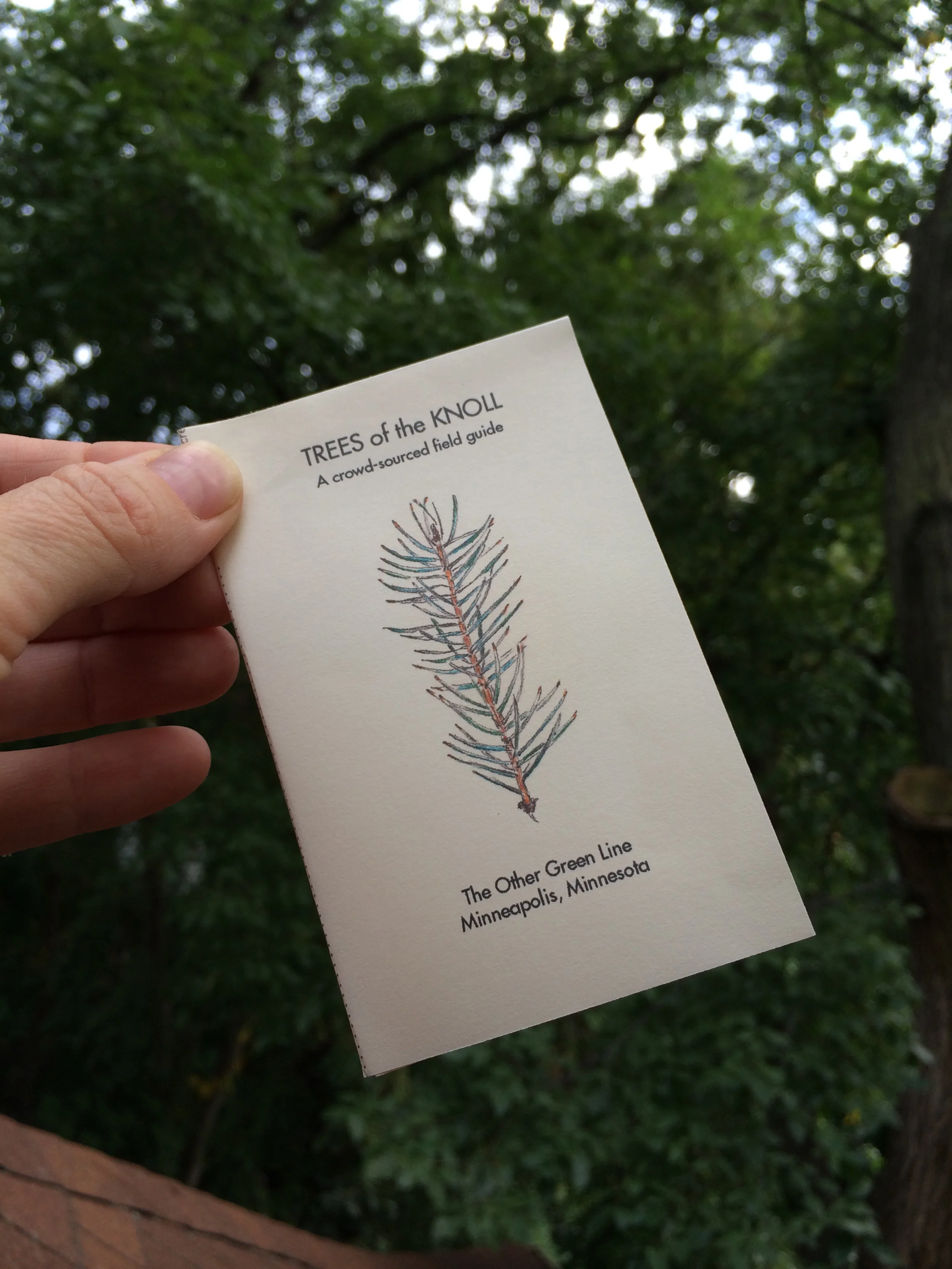 TreesOfTheKnoll_picture2500.jpg
