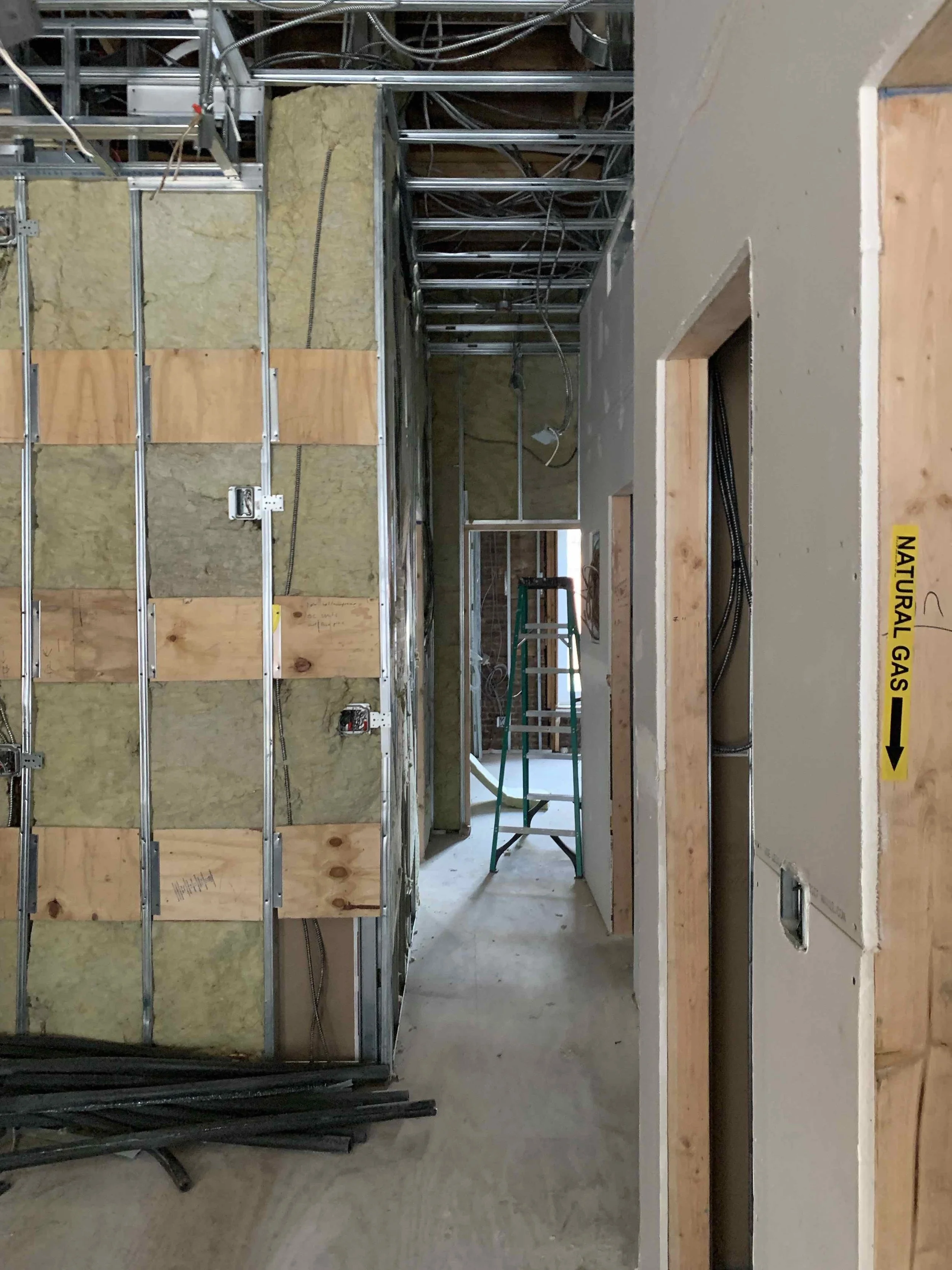 227 Berkley Pl April 19-02.jpeg