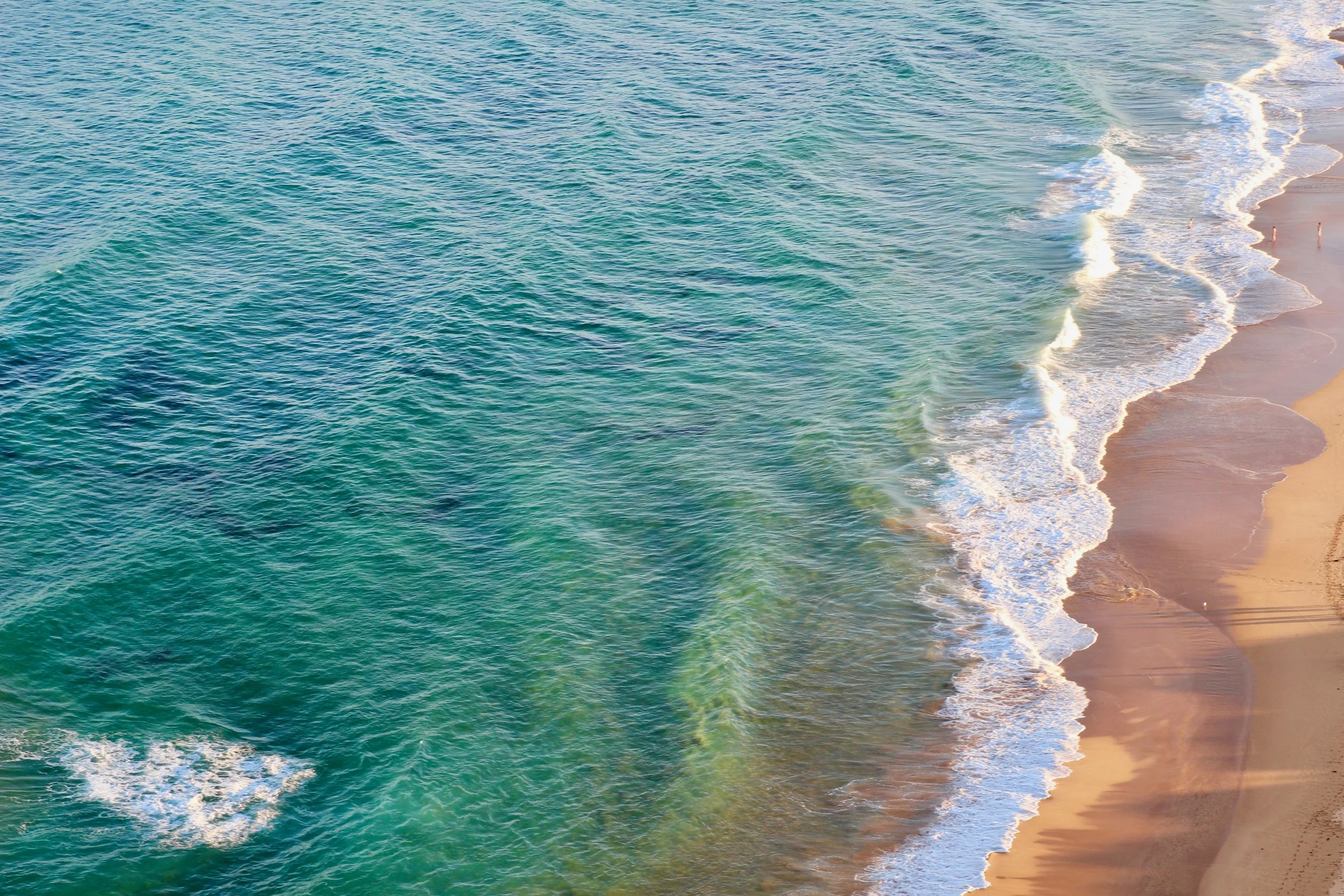 Look to the Palm Beach Area for Your Next Investment