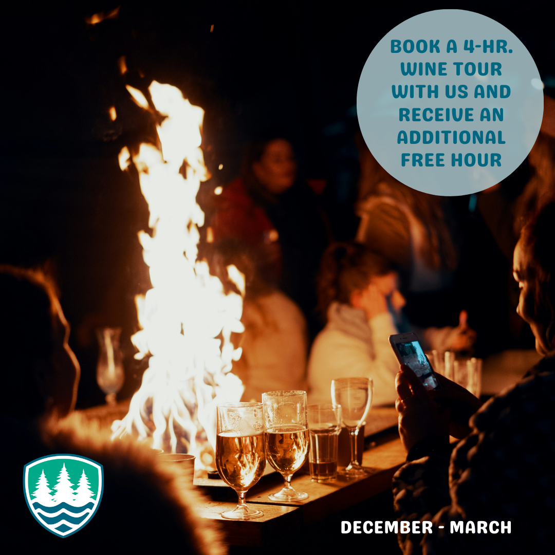 Winter Promo (1).png