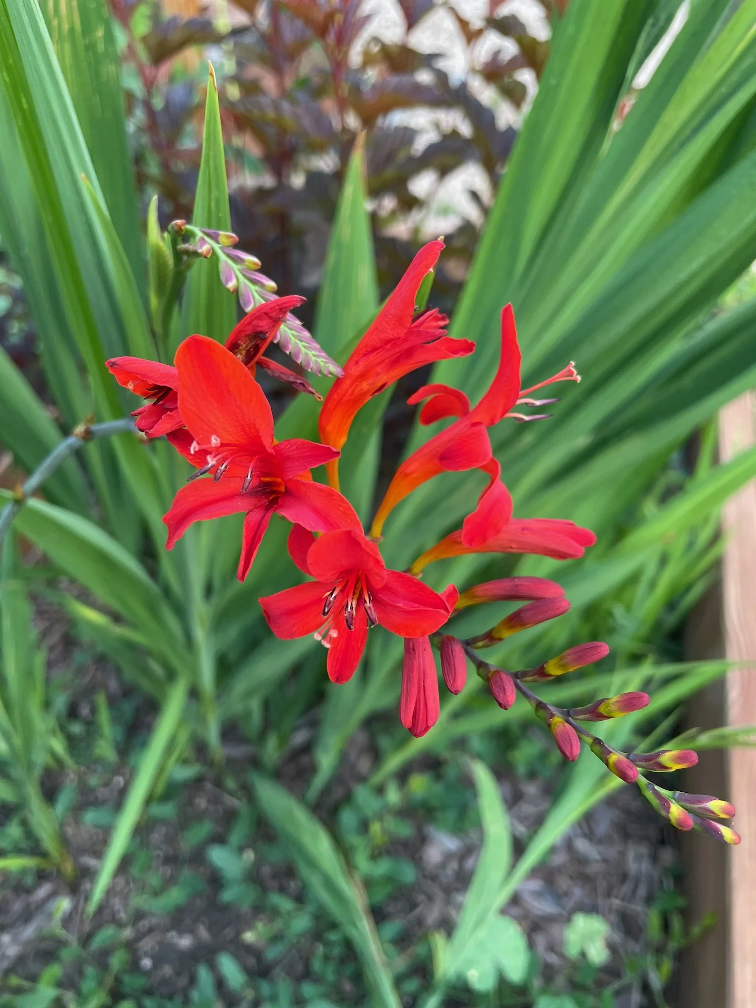 Porch Pot Mistakes