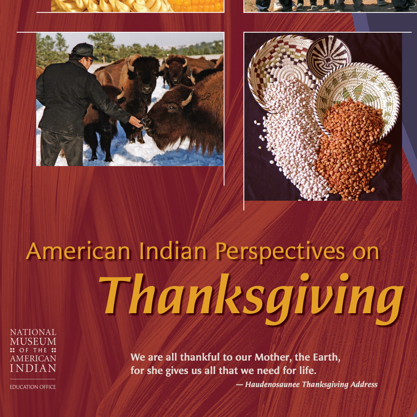  This resource from the National Museum of the American Indian is intended for teachers of grades 4-8, but there is great information for parents of children of all ages as well. 