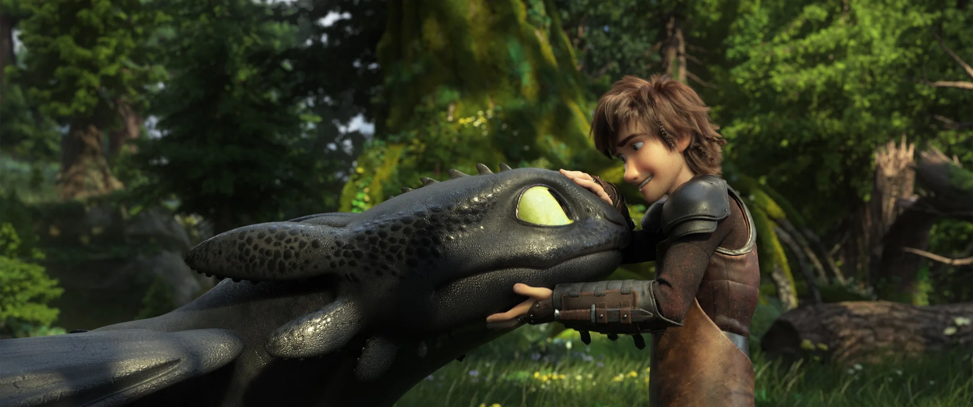 hiccup and toothless.jpg