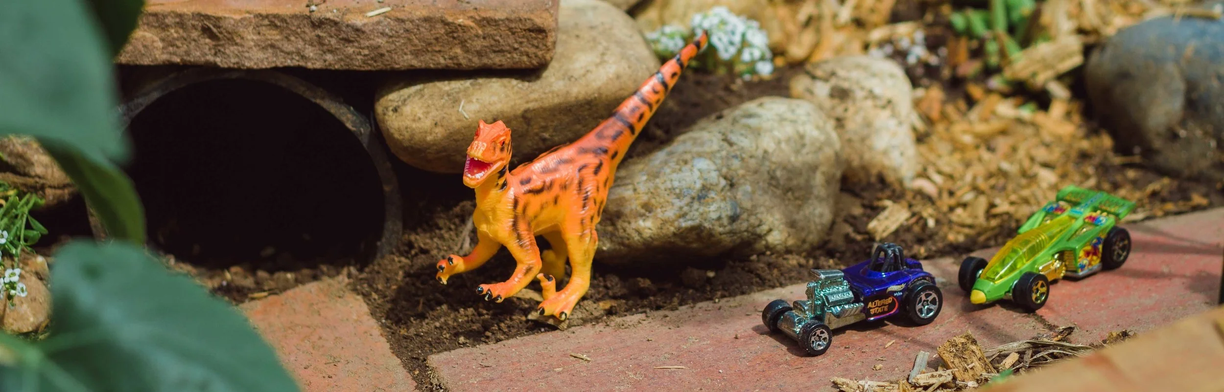 Create an outdoor place where your child can play and garden, too. Call it a Dinosaur Garden, Fairy Garden, or just a great play area, this easy DIY project is full of backyard ideas. Perfect for patios or small yards, this project can be as small or as large as you want. And kids will love to dig, plant, and create in their own special gardening space. Also: vegetables, flowers, toys, pots.
