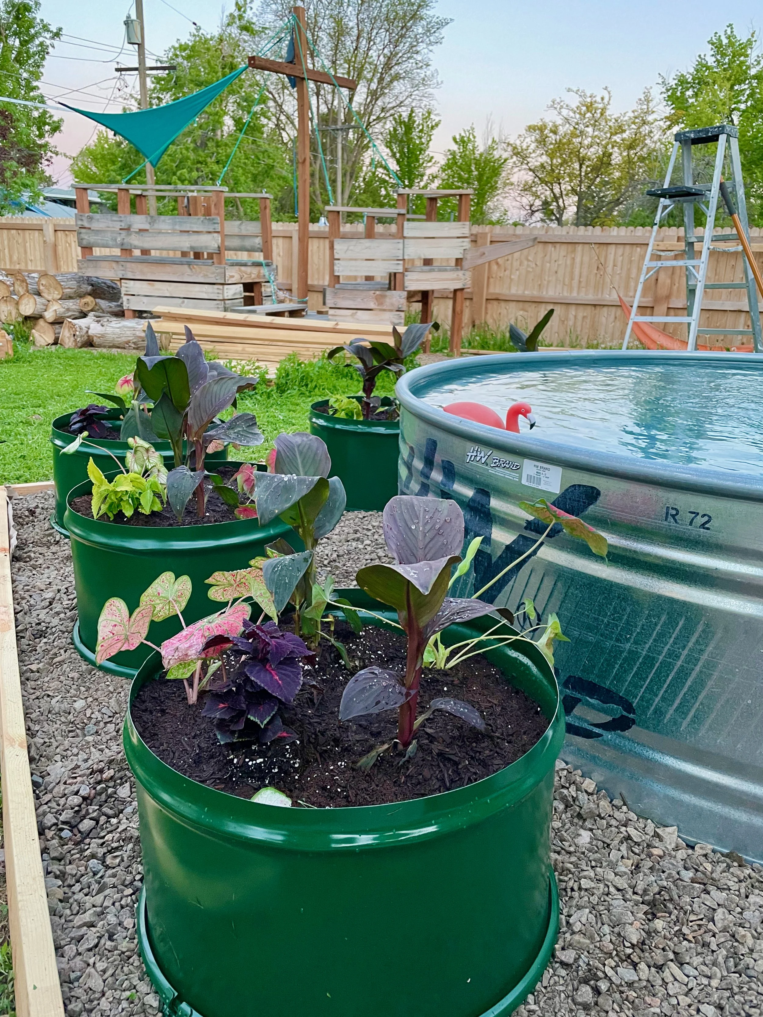 55 Gallon Drum Garden | Fasci Garden