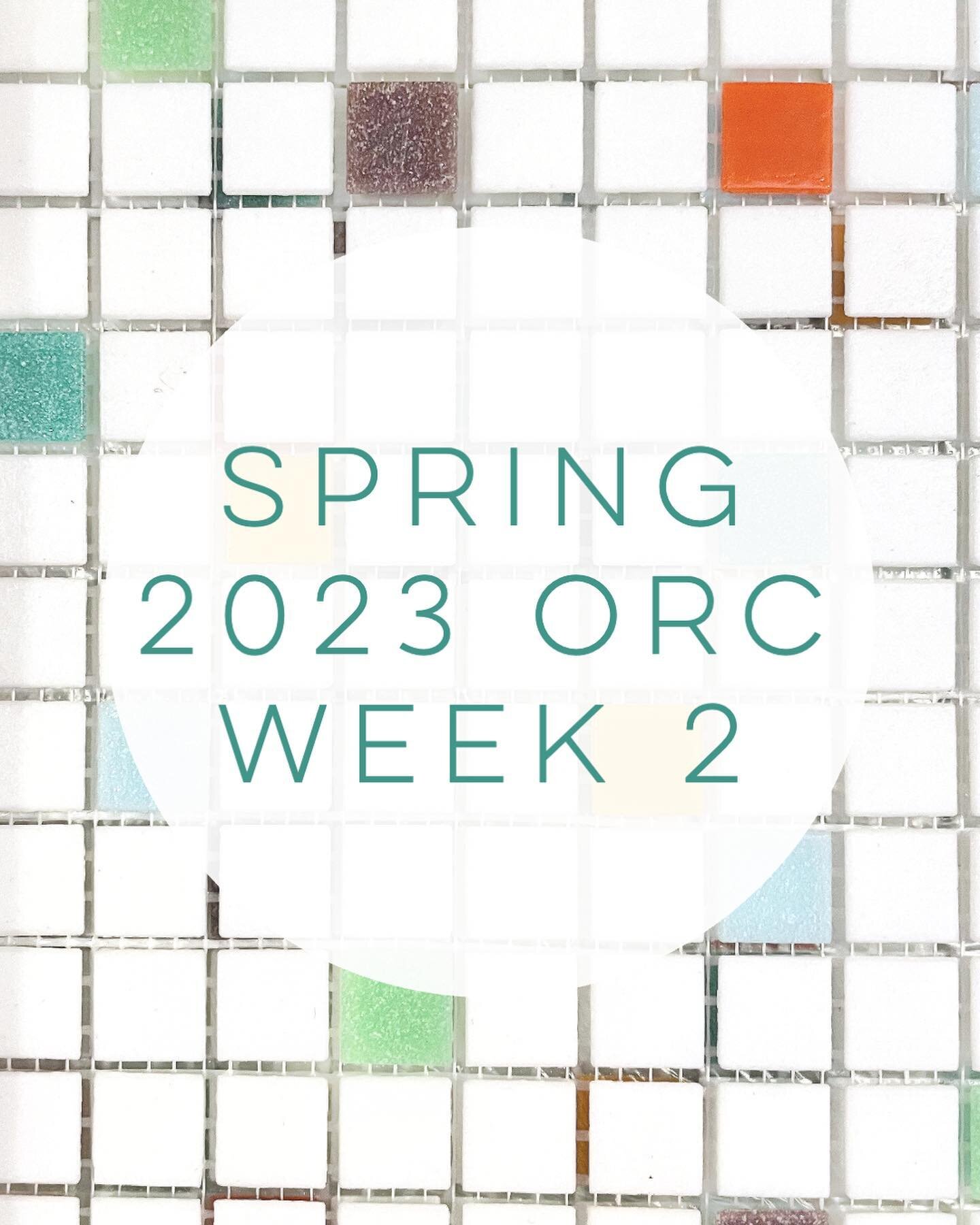 The Week 2 One Room Challenge update is live! Swipe for a peek and then pop over to the blog for the whole update. Link in my profile or in my stories! 

Also I created a highlight of all of the ORC bathroom projects. If you have an upcoming bathroom
