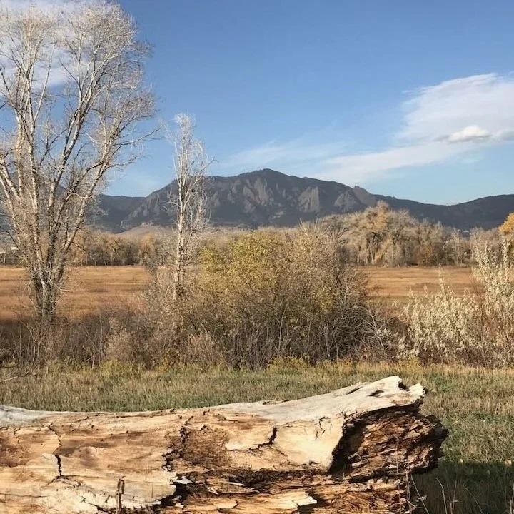 Colorado+-+1+%281%29.jpg