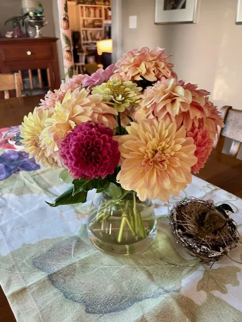 Dahlias 2024 - 3.jpeg