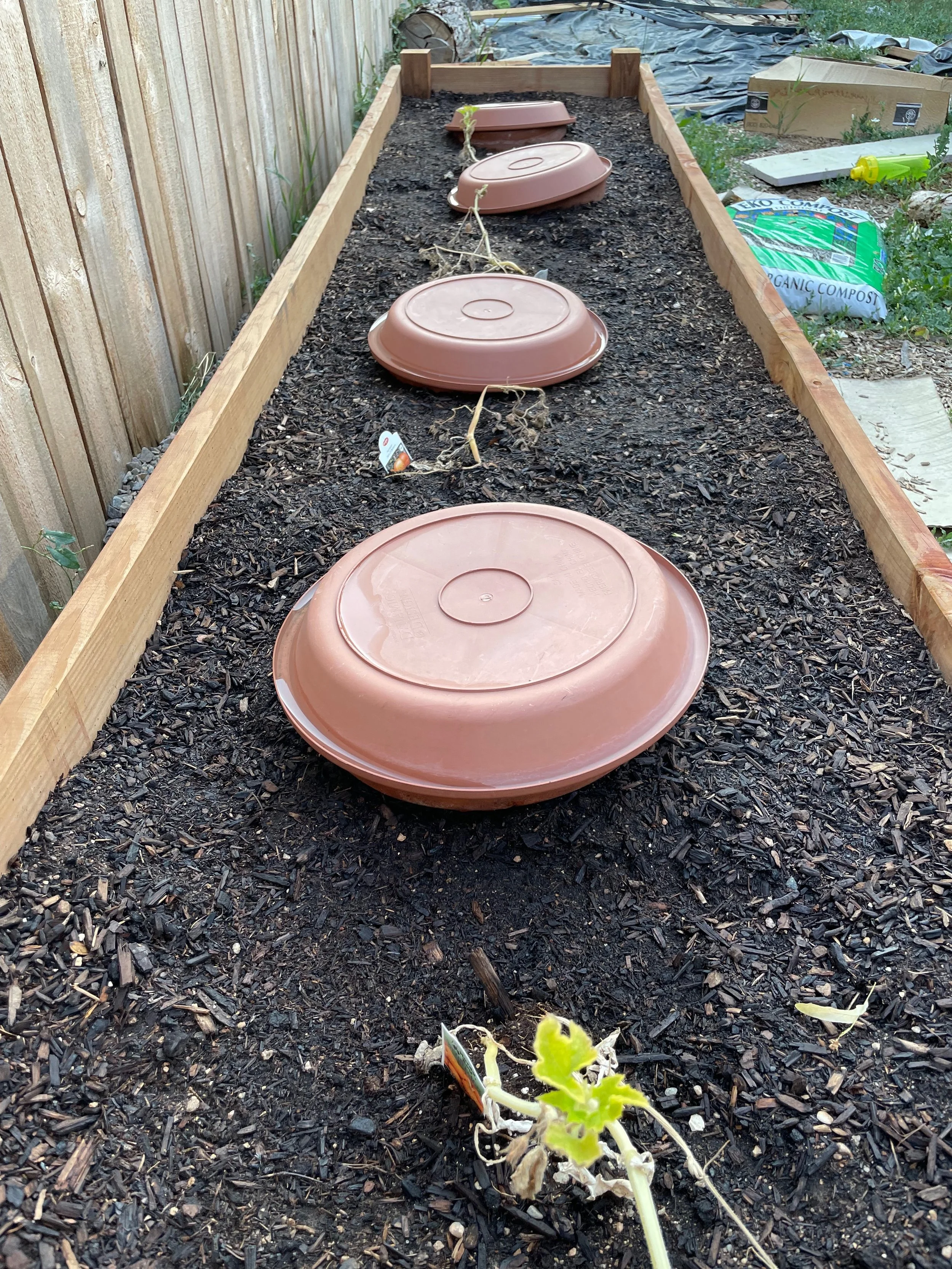 DIY Ollas in my Pumpkin Patch