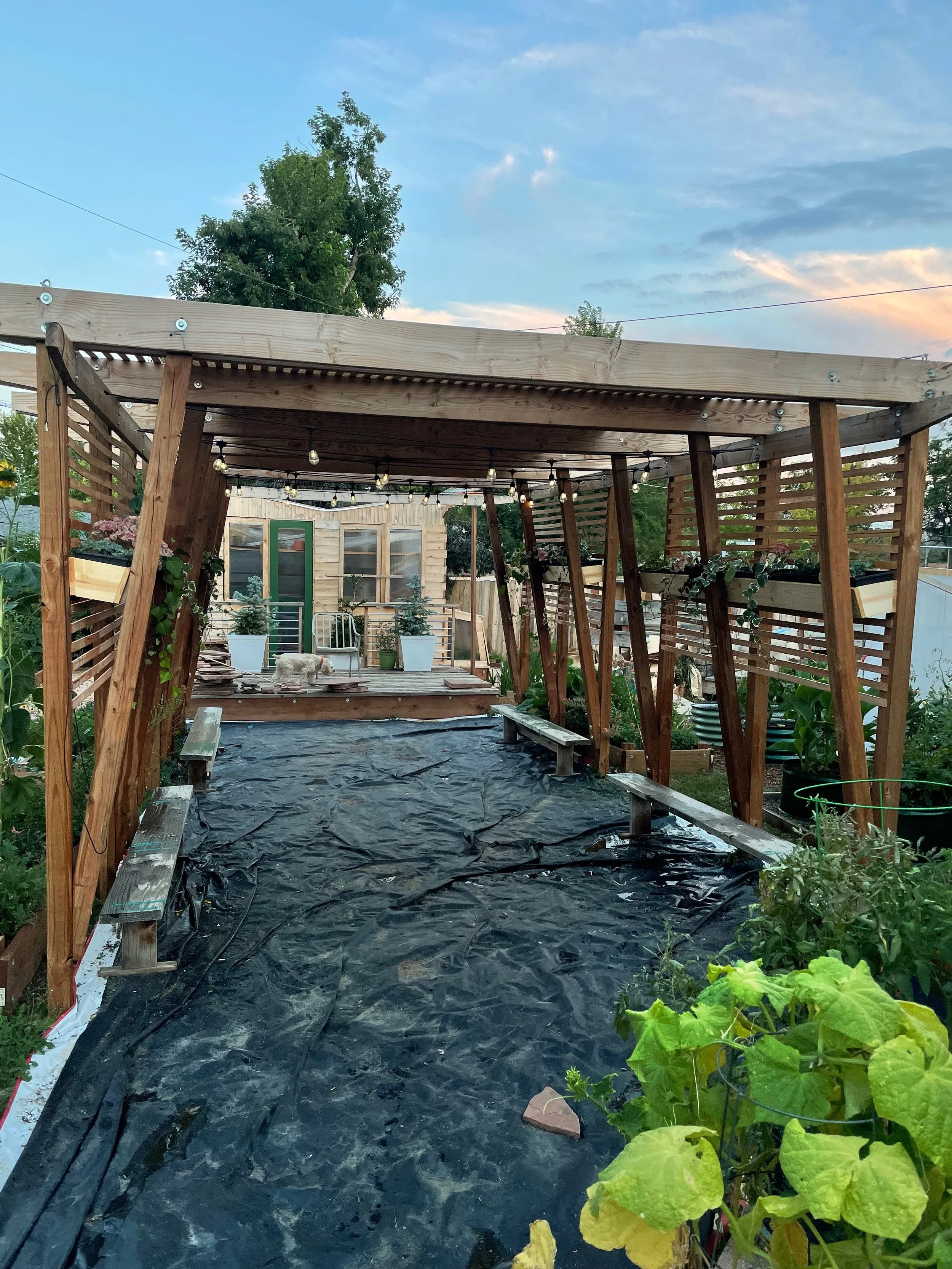 We solarized the weeds for a whole summer.