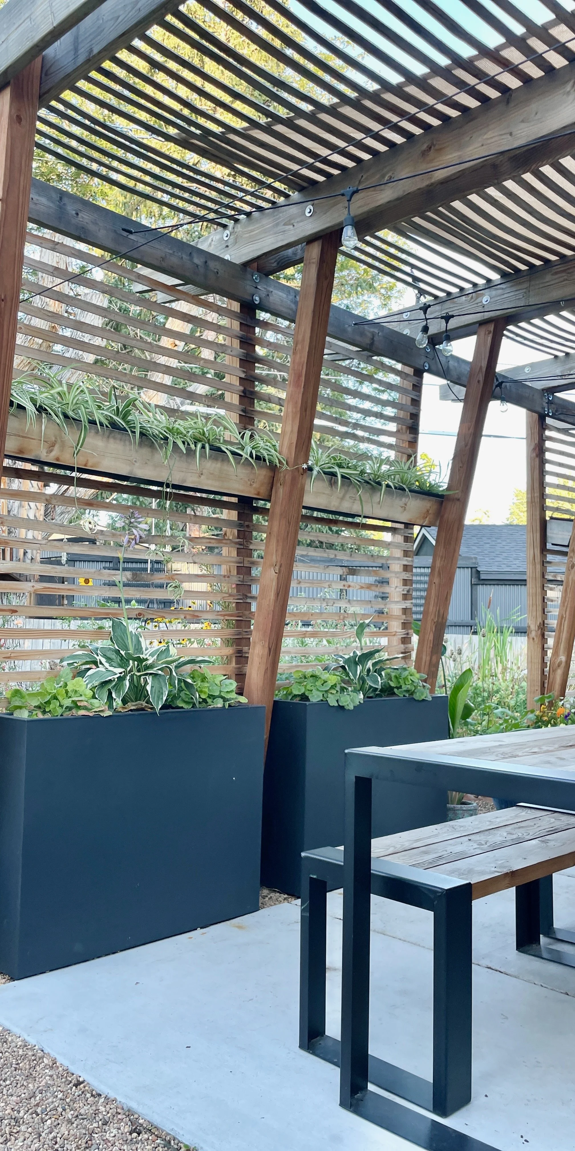 container gardening pots 9.jpeg