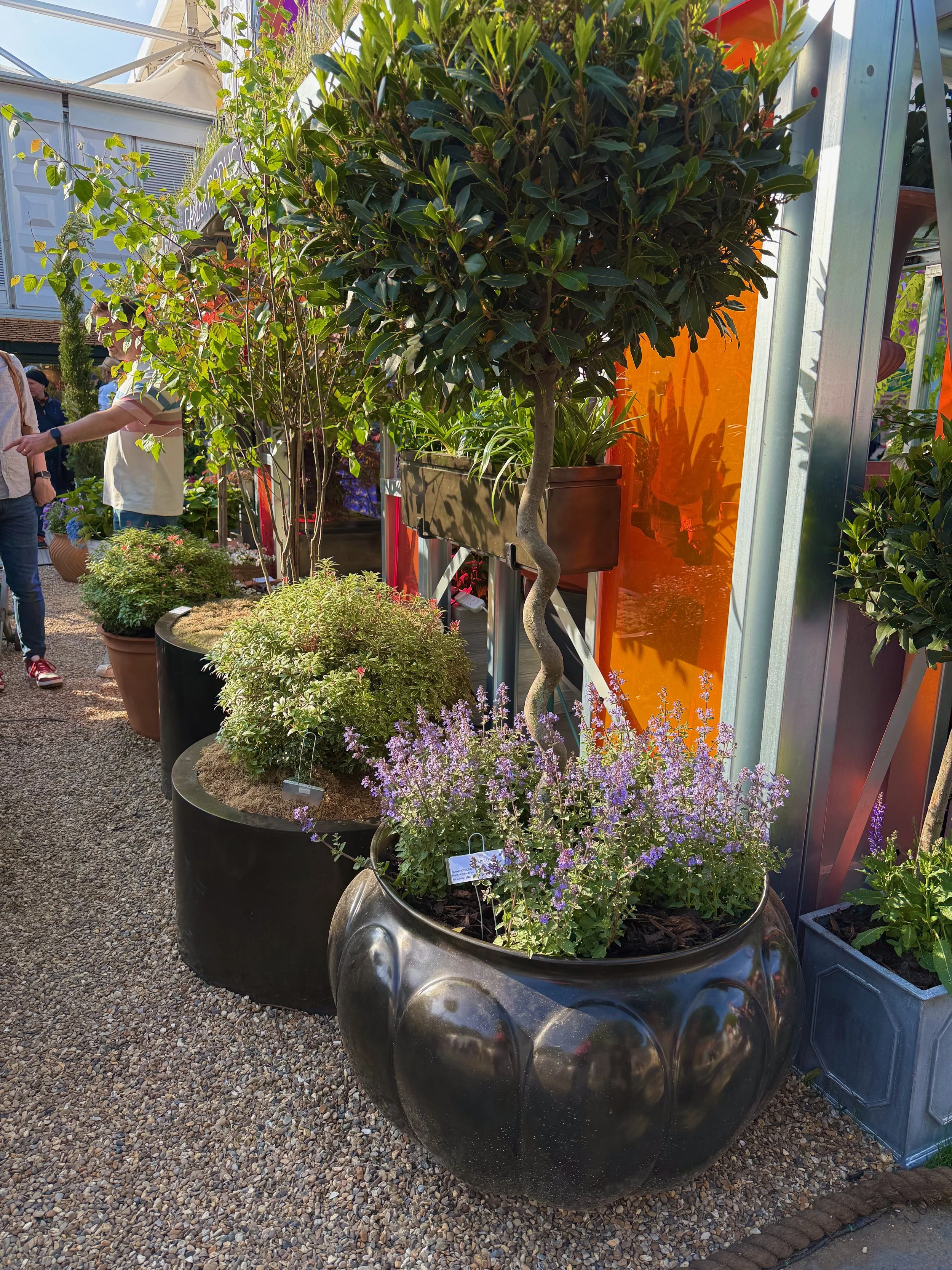 container gardening pots 26.jpeg