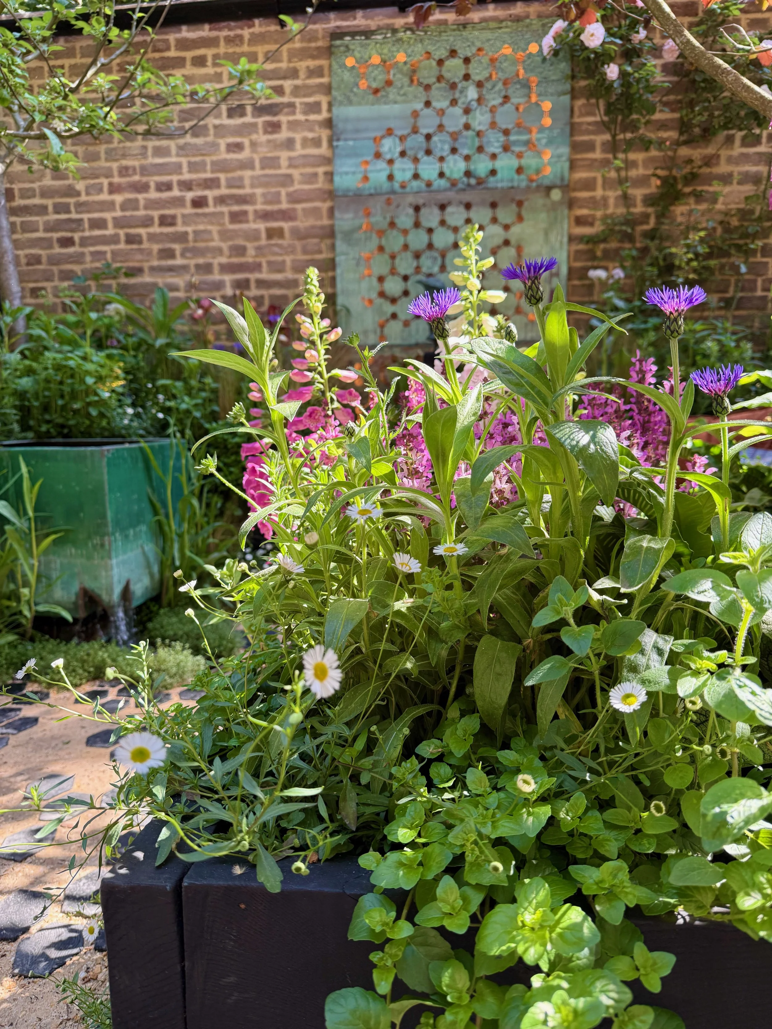 container gardening pots 35.jpeg