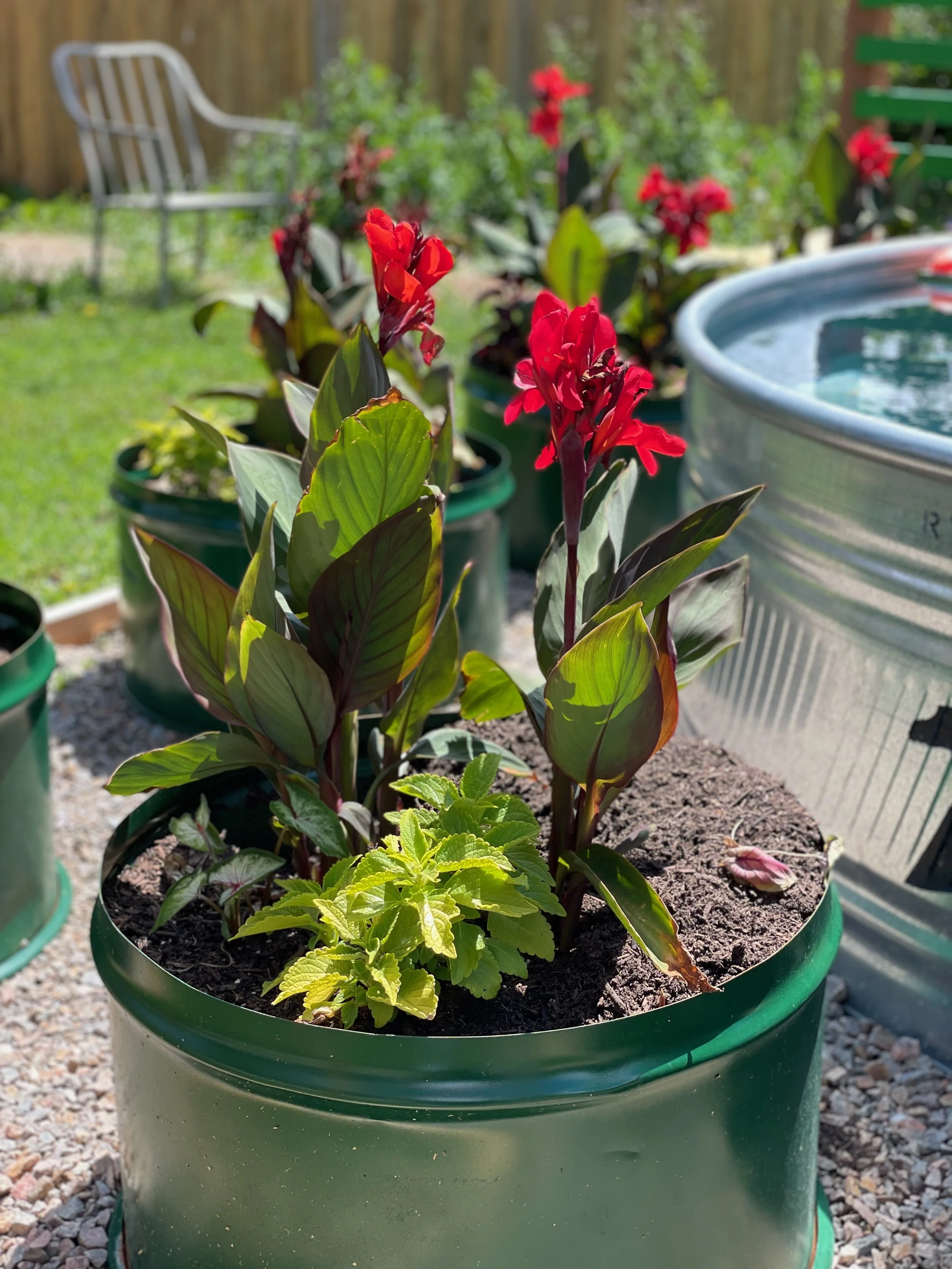container gardening pots 23.jpeg