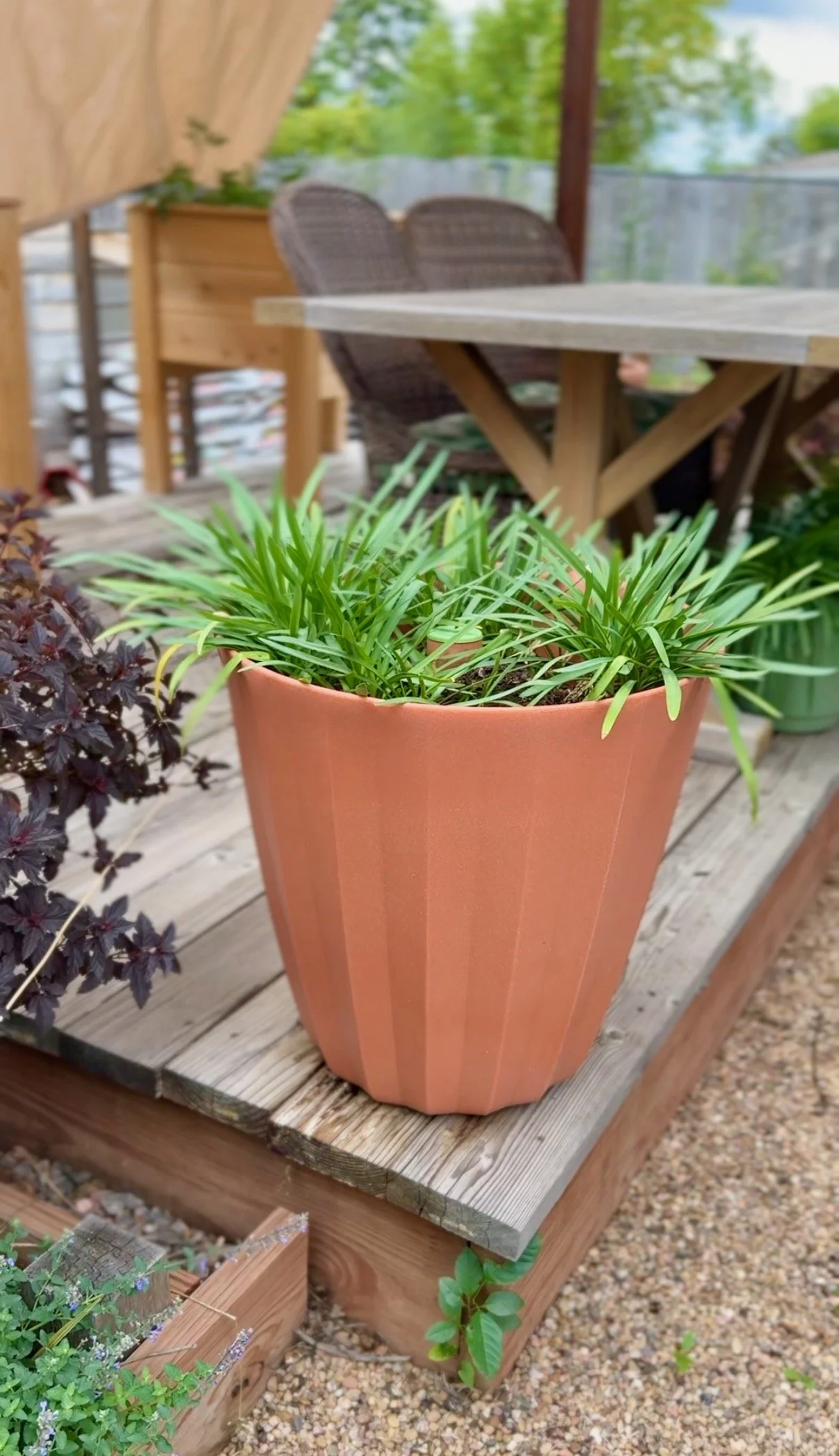 container gardening pots 28.jpeg
