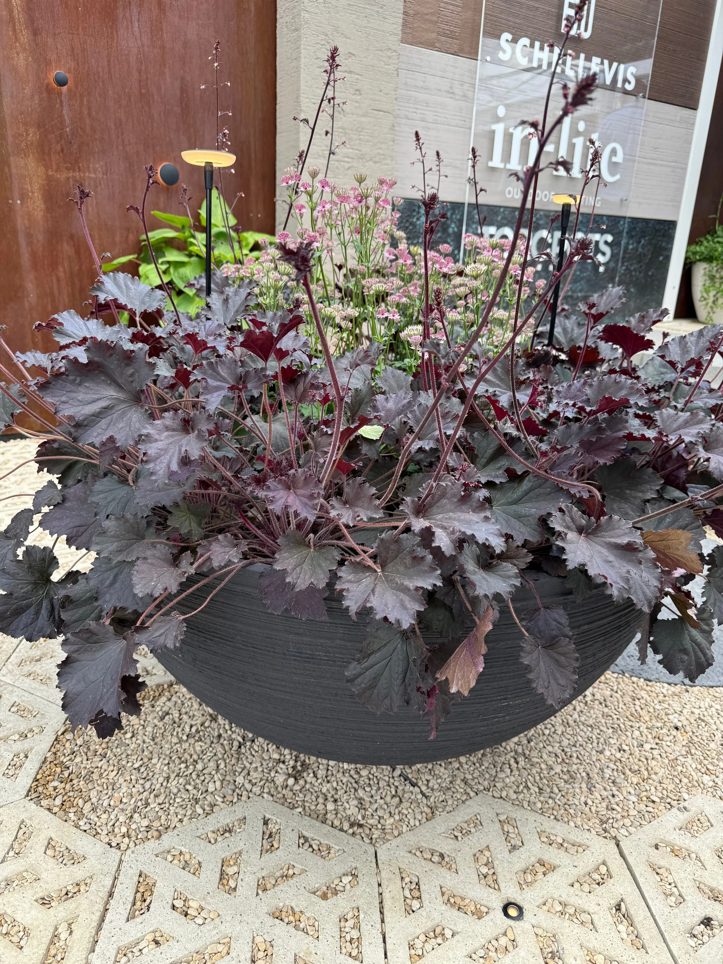container gardening pots 31.jpeg