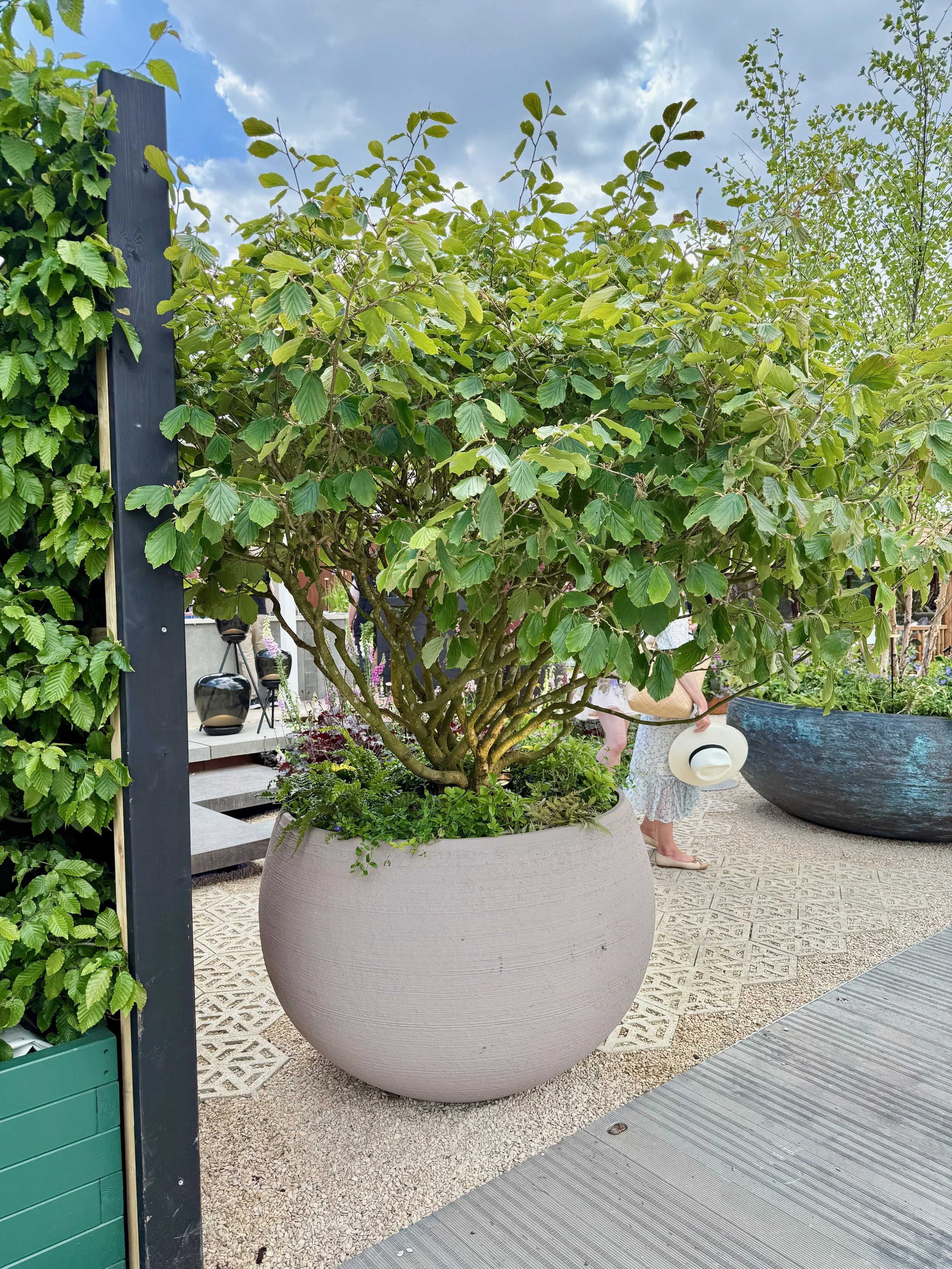container gardening pots 33.jpeg