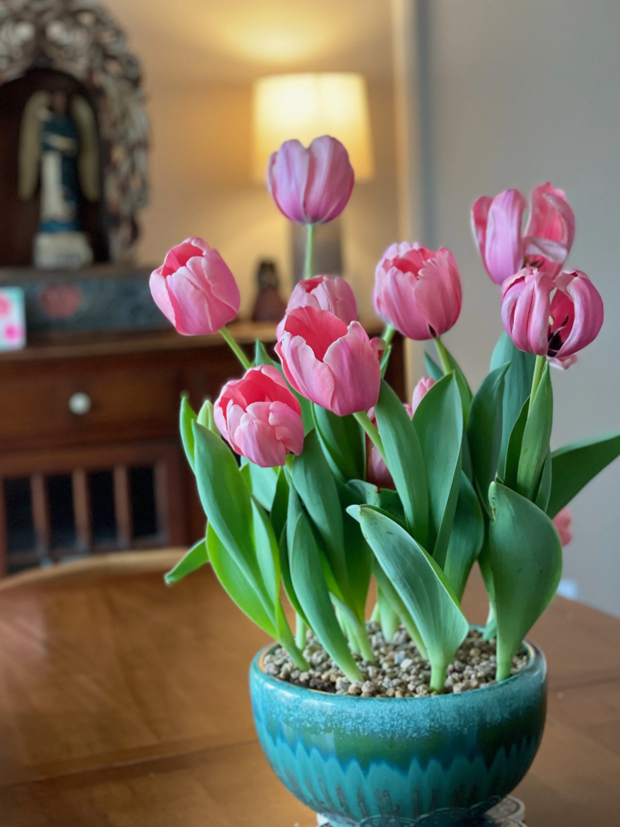 container gardening pots 15.jpeg
