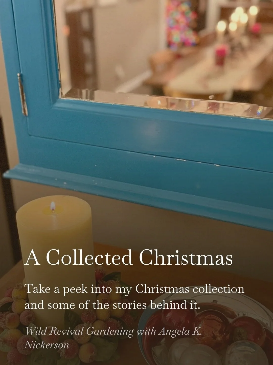 Today on my Substack: a peek into our collection of Christmas decorations. Come for the photos, stay for the stories and the tips, too. 

Comment below, and I will send you the link! 

IG 

Follow me @wildrevivalgardening for:
🌻 Gardening tips and i