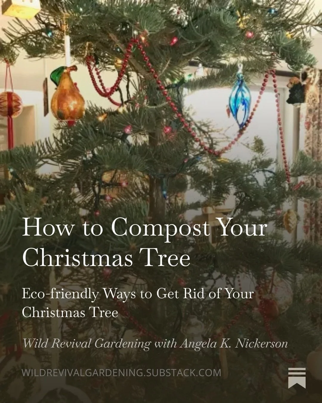 Today on my Substack: I live in a city that doesn&rsquo;t pick up Christmas trees to compost them. The city doesn&rsquo;t do compost pick up at all. Maybe you do, too. So here are some tips for composting your tree &mdash; from using a drop-off site 