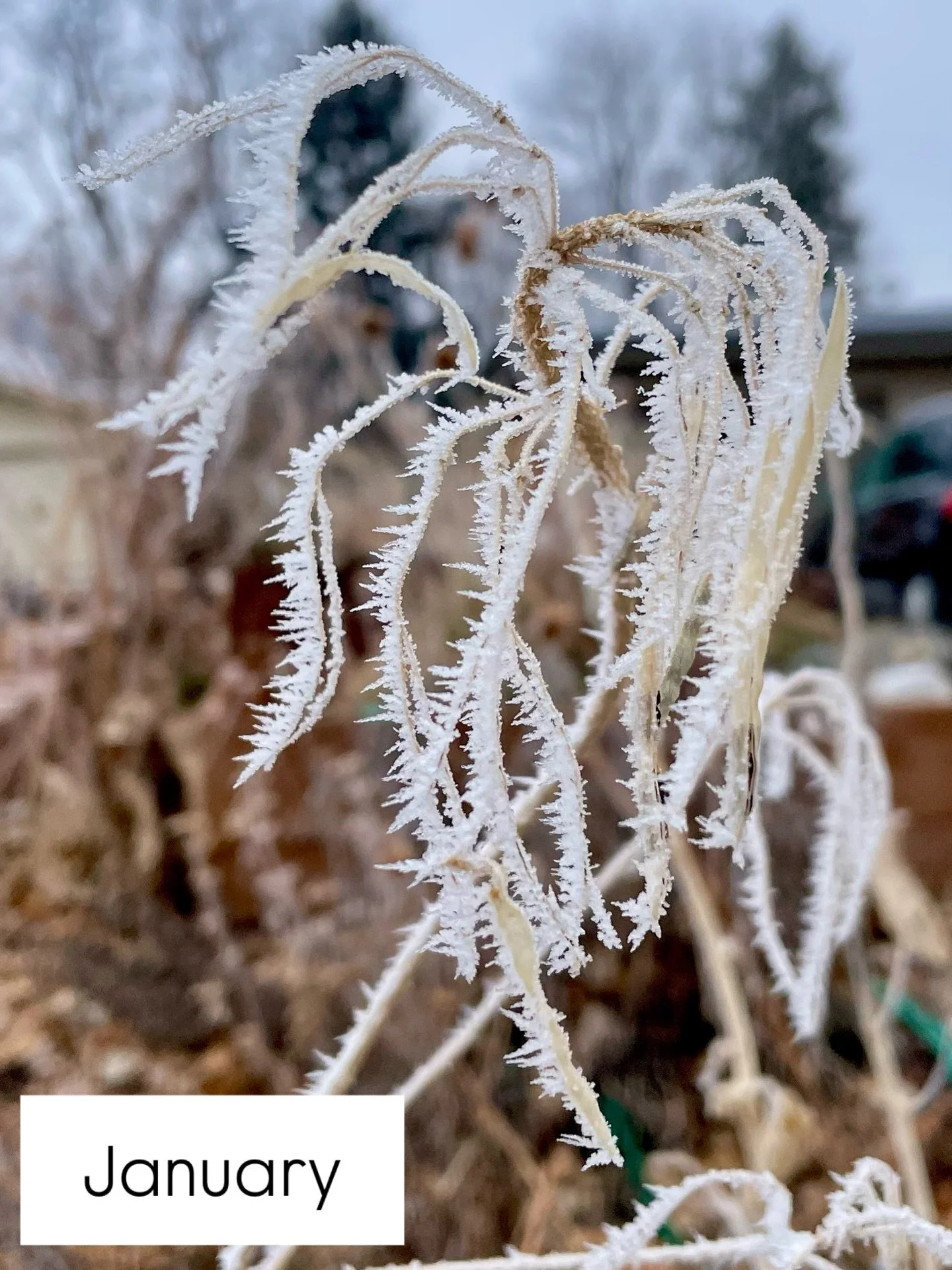 And here we are: at the end of 2025 and at the doorway of a new year. Here&rsquo;s a look back as we think about stepping through the doorway once again. What are you looking forward to in the new year?