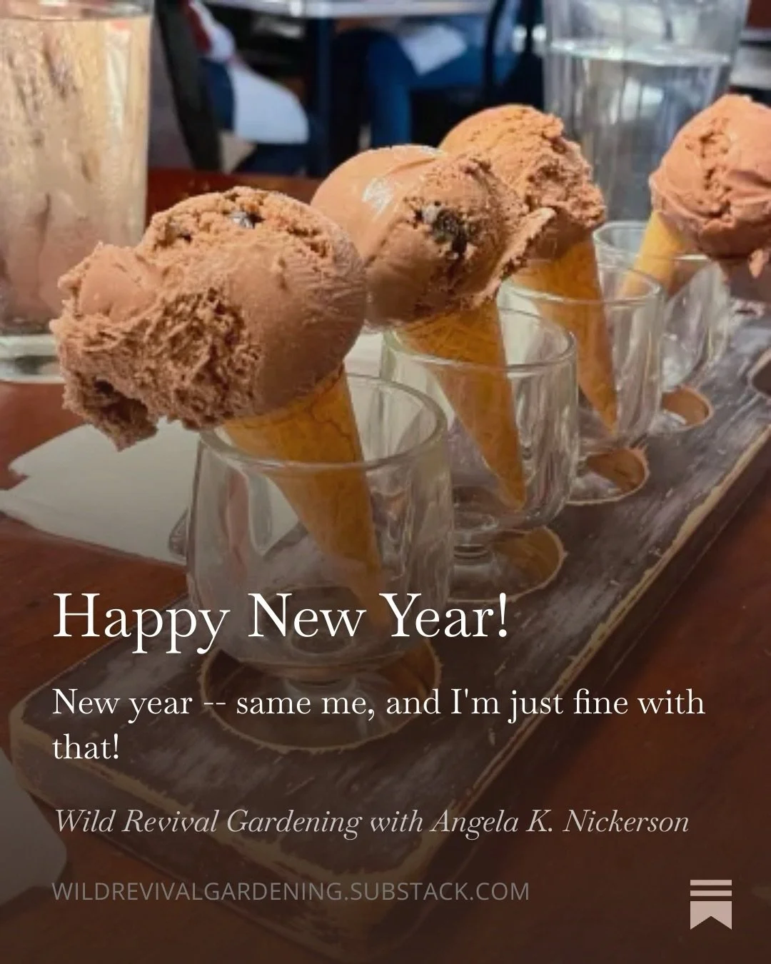 Today&rsquo;s Substack has a little bit of everything&hellip;

🎉 why I don&rsquo;t make resolutions &mdash; and what I do instead

📚what I am reading right now

🌱 an invitation to start Resistance Gardening (and what is it anyway?)

🪏 some of my 