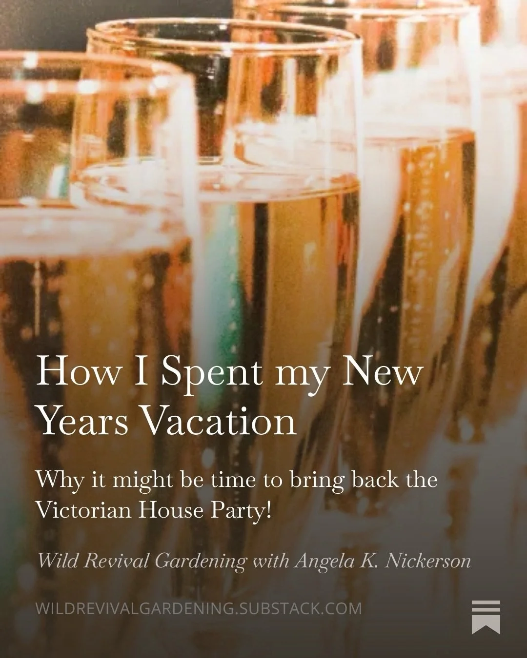 Today on my Substack: a peek into our New Years traditional house party. And why I would argue that a house party can be a tool of resistance &mdash; and one of the best ways to build friendships. Comment SUBSTACKZ for the link! 🩷🥂🩷