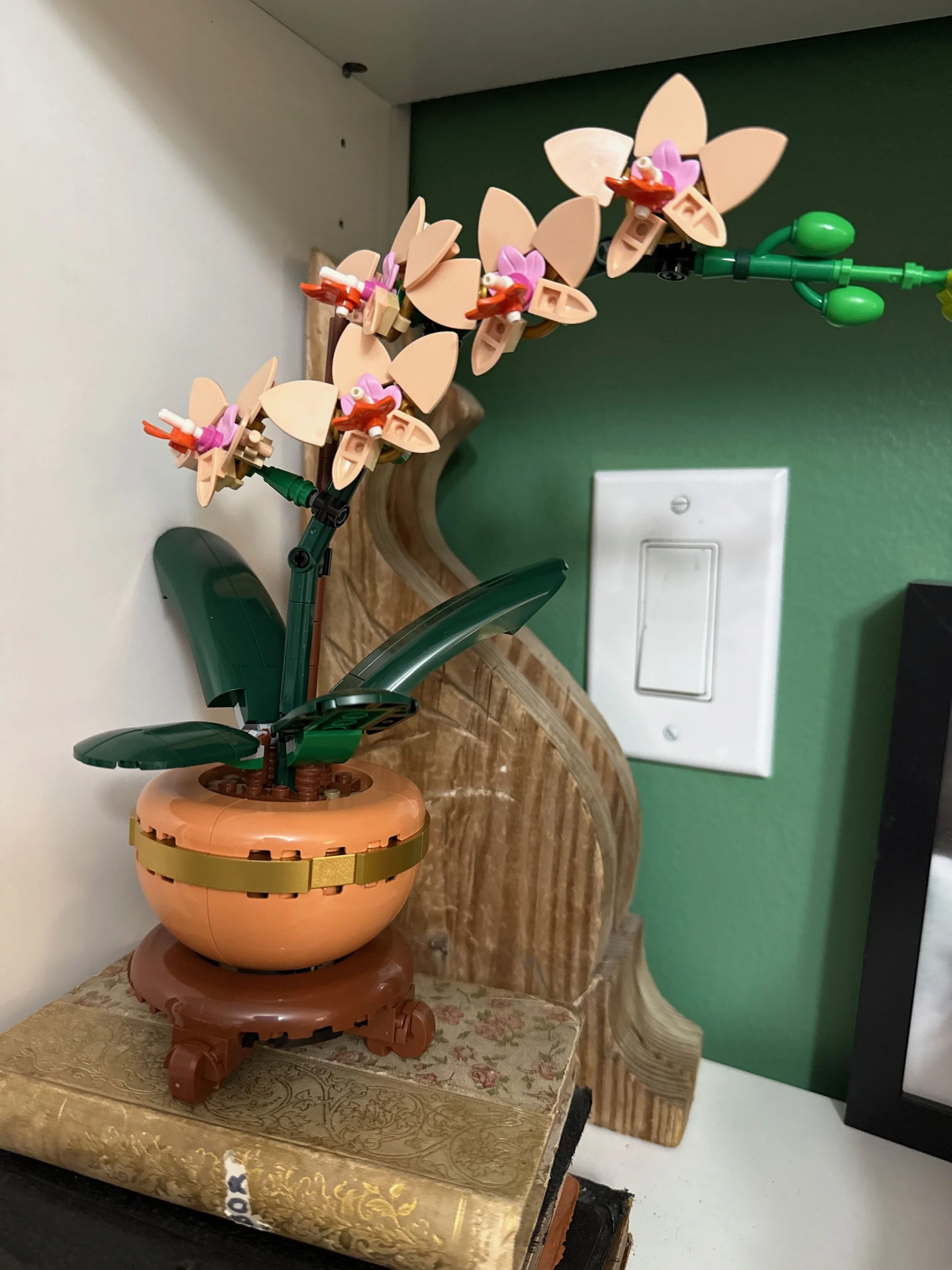 New Years - 3 (2).jpeg