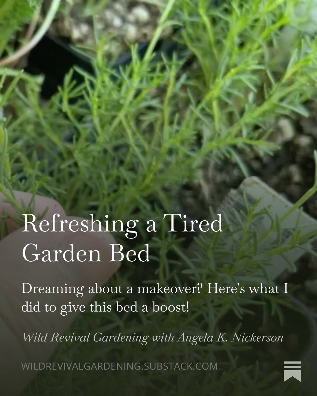 If a garden bed isn&rsquo;t working anymore, you don&rsquo;t have to clear it. Try a refresh! Check out my Substack post for video and the steps I took to makeover a tired garden bed turning it into a thing of beauty! 

Comment SUBSTACK for the link!