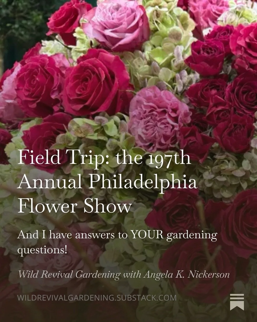 Comment below, and I will send you the link to my Substack! @phsgardening &lsquo;s Philadelphia Flower Show ends today. Have you gone? Tell us about what you loved! 
#rooted2026 #philadelphiaflowershow #gardening