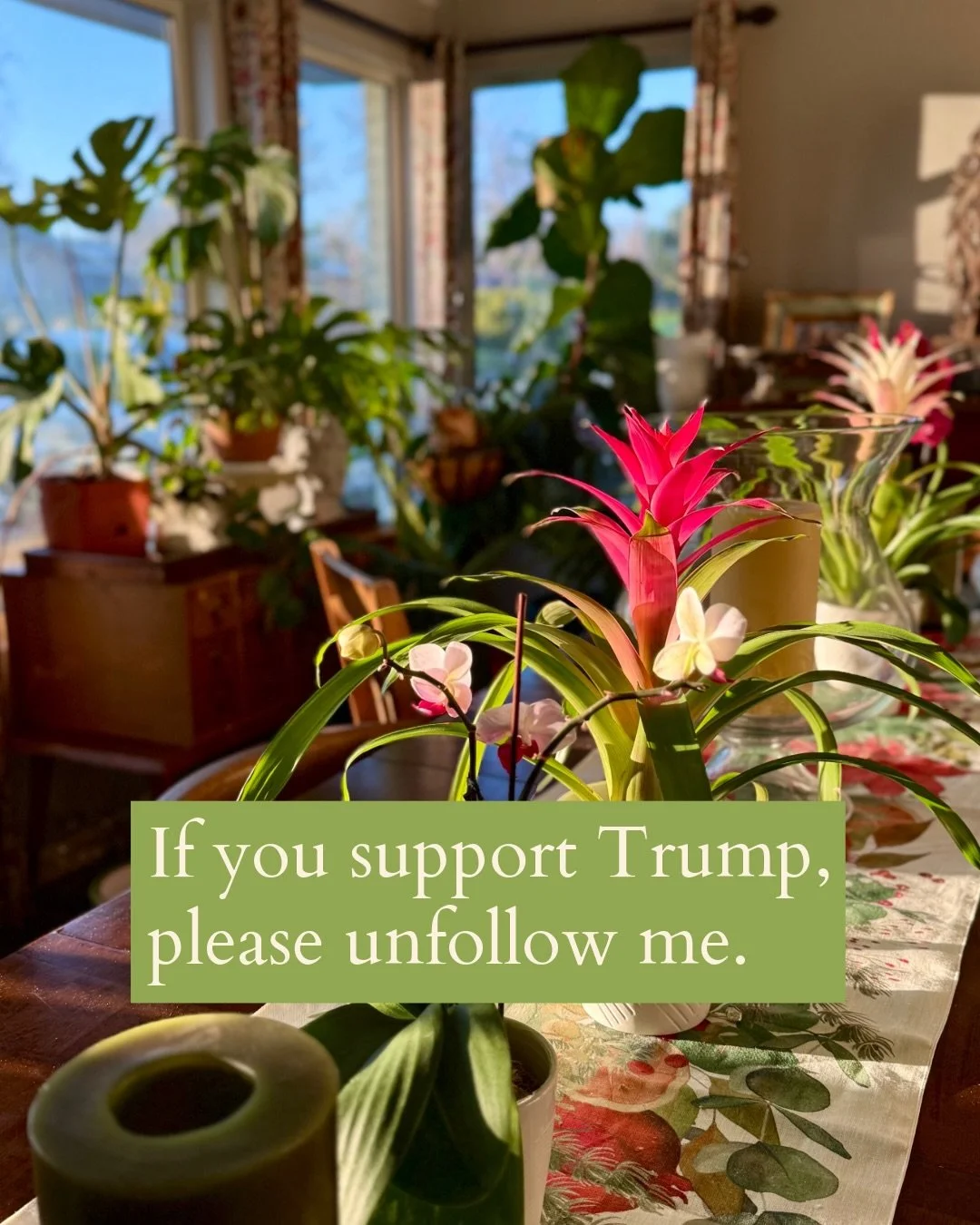 Welcome to my progressive, compassionate friends! Gardening season is upon us, and it&rsquo;s time to get going! Have you subscribed to my Substack yet? If not, do it!! All of the good stuff is there! Comment below, and I will send you the link! 

#g