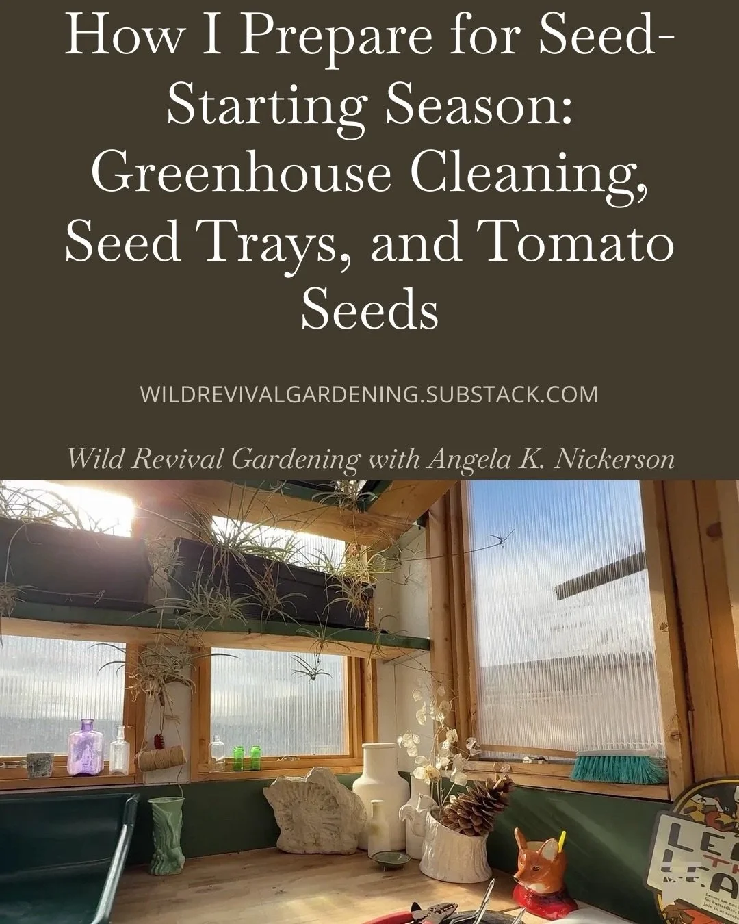 If you like to watch videos of other people working, this week is for you! 😂 Drop a comment, and I will send you the link! 
#gardening #garden #learntogarden