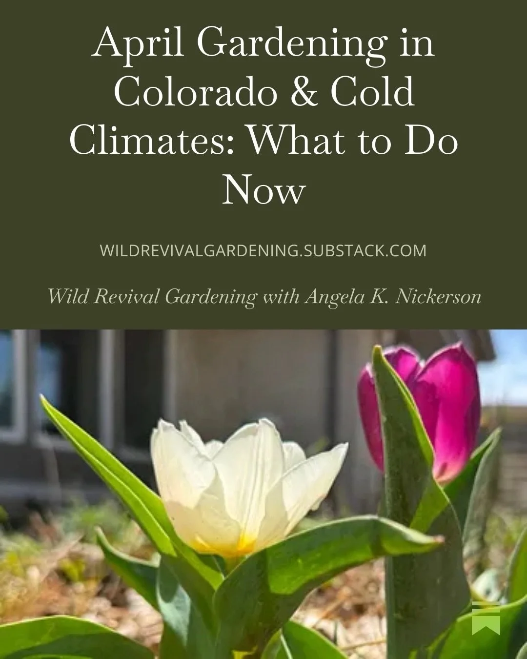 You&rsquo;ve got questions, and I have answers. The early April Q&amp;A is here with answers to all of your burning gardening questions including:

Are your carrots ruining the environment?
Can you grow vegetables inside?
What should you be doing in 